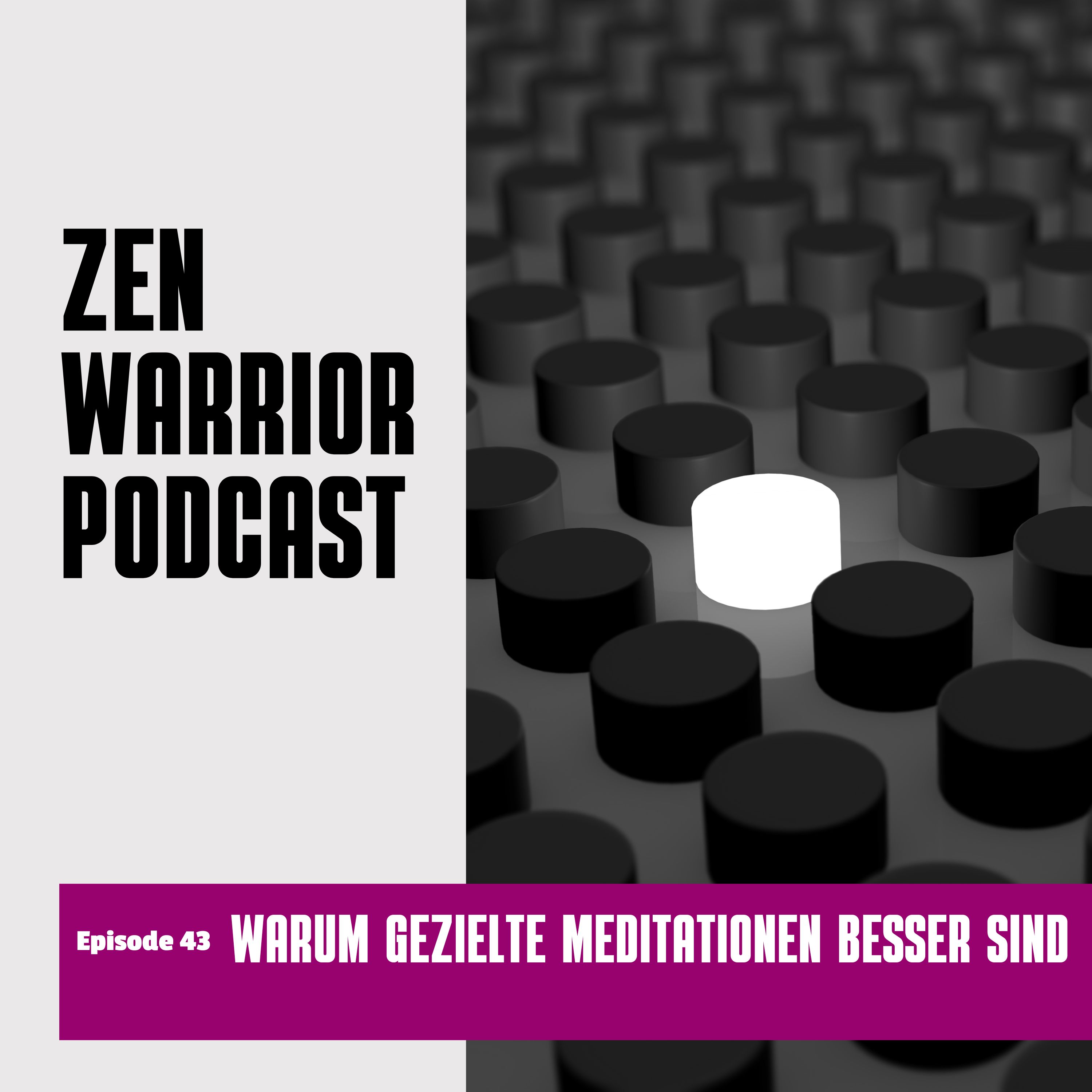 The Zen Warrior Podcast