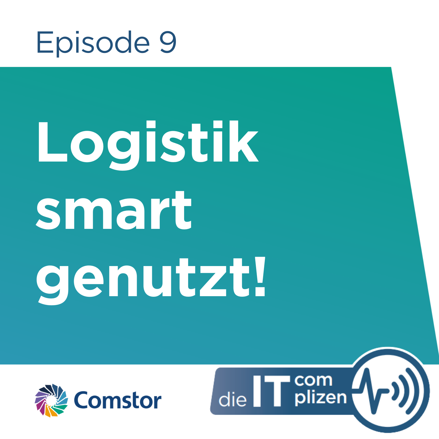 Comstor - Die IT Complizen