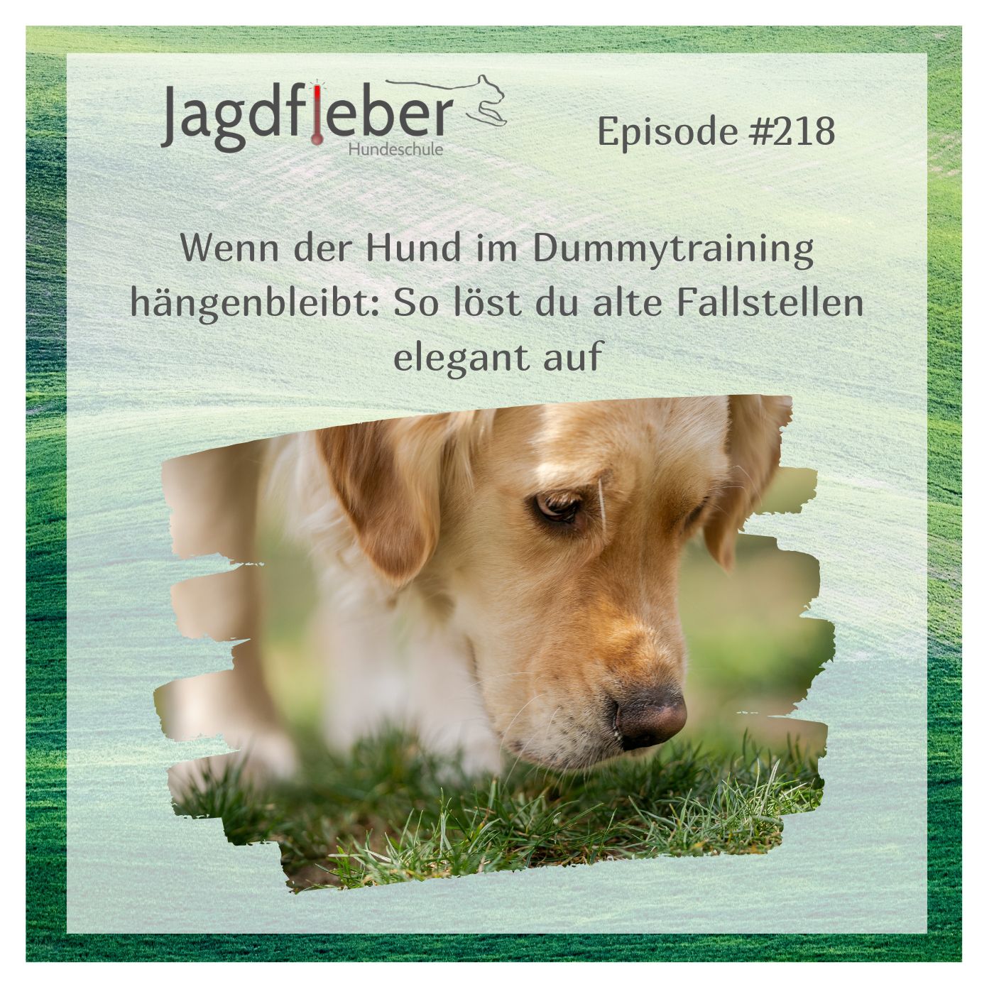 P218: Wenn der Hund im Dummytraining hängenbleibt: So löst du alte Fallstellen elegant auf episode artwork