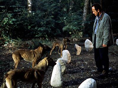 Where is the light? - Der MillenniuM Podcast