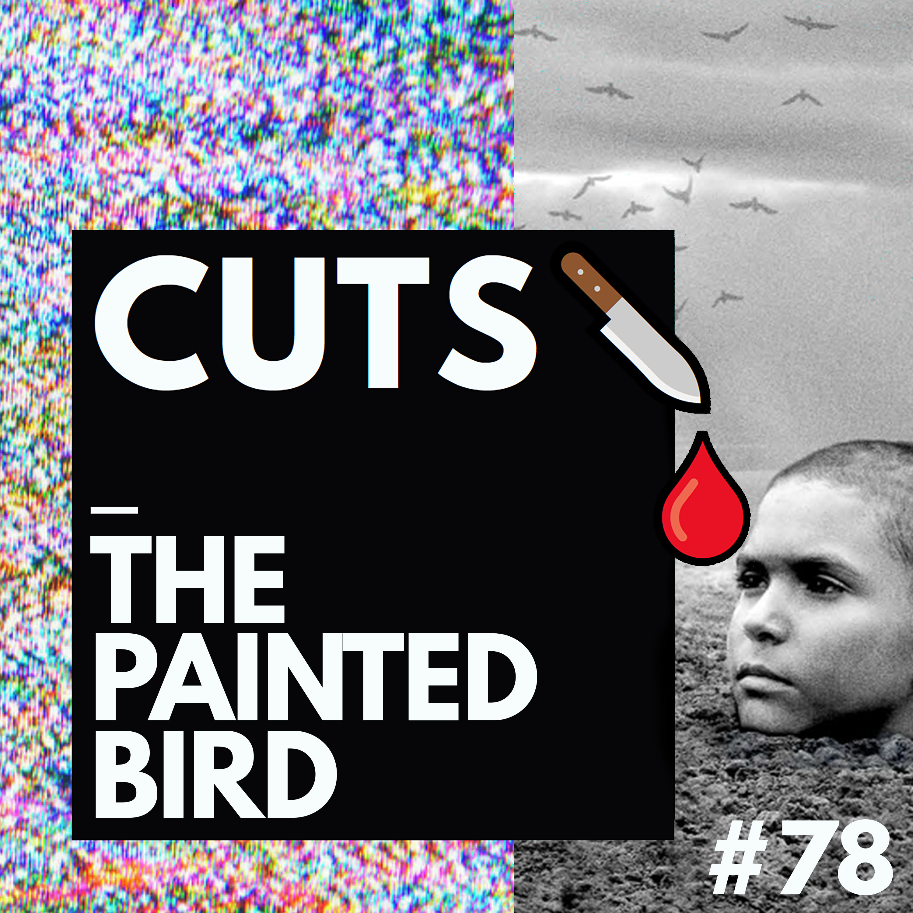 #78 The Painted Bird