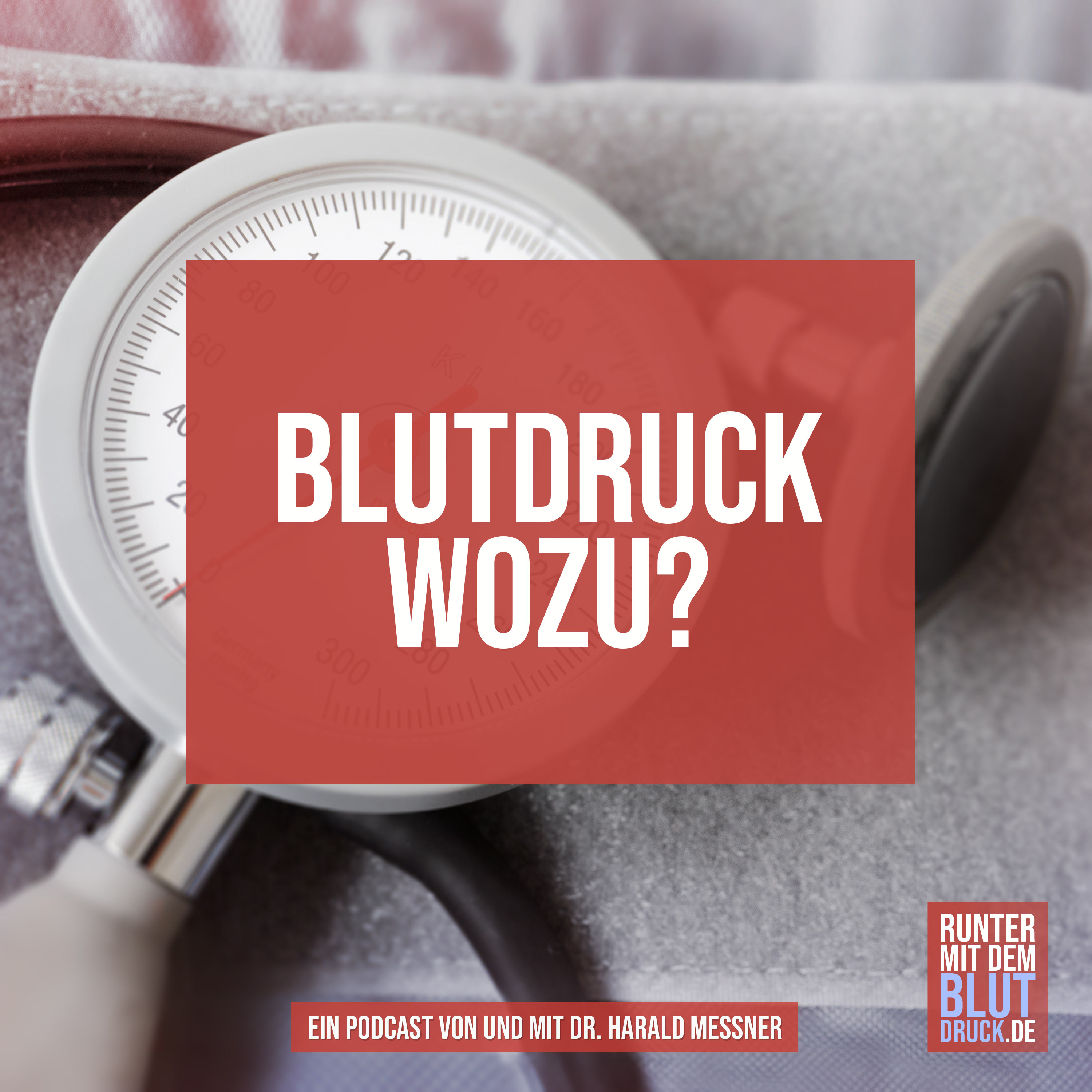 Runter mit dem Blutdruck