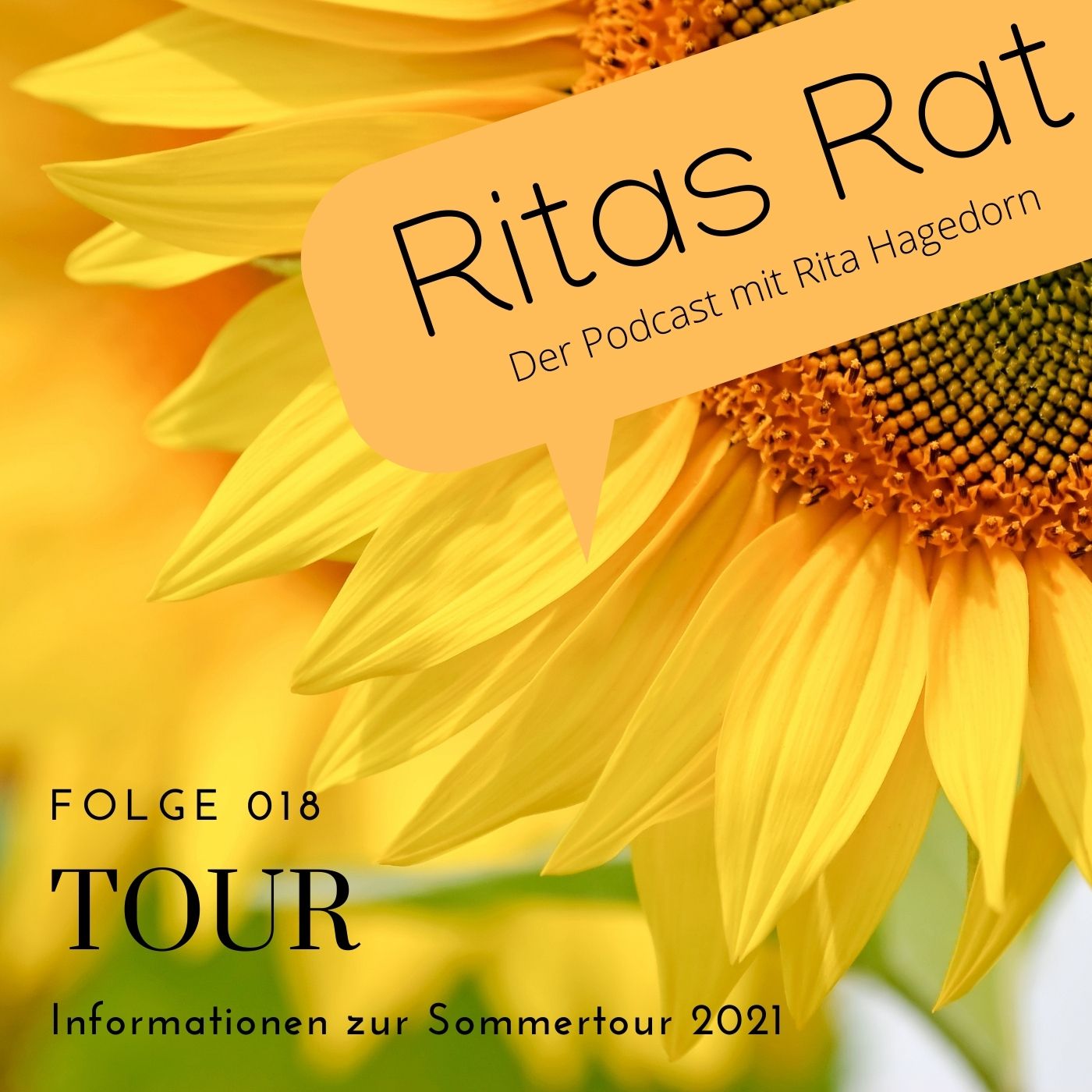 Ritas Rat