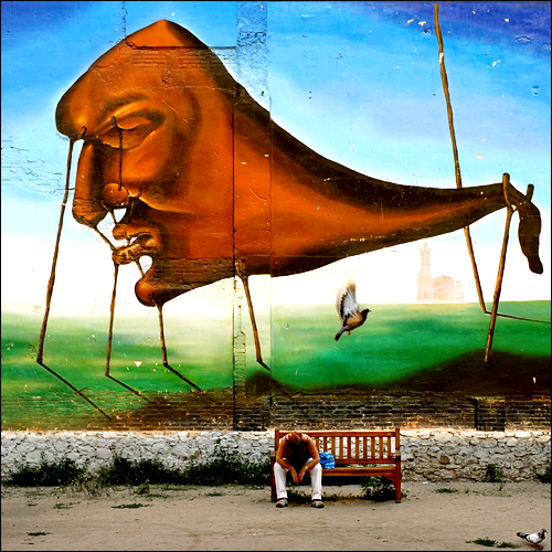 Logbuch eines Liveaboards