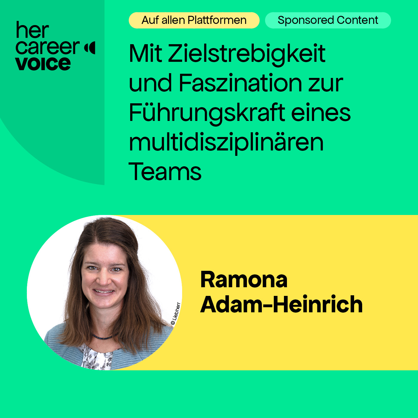 Mit Zielstrebigkeit und Faszination zur Führungskraft eines multidisziplinären Teams episode artwork