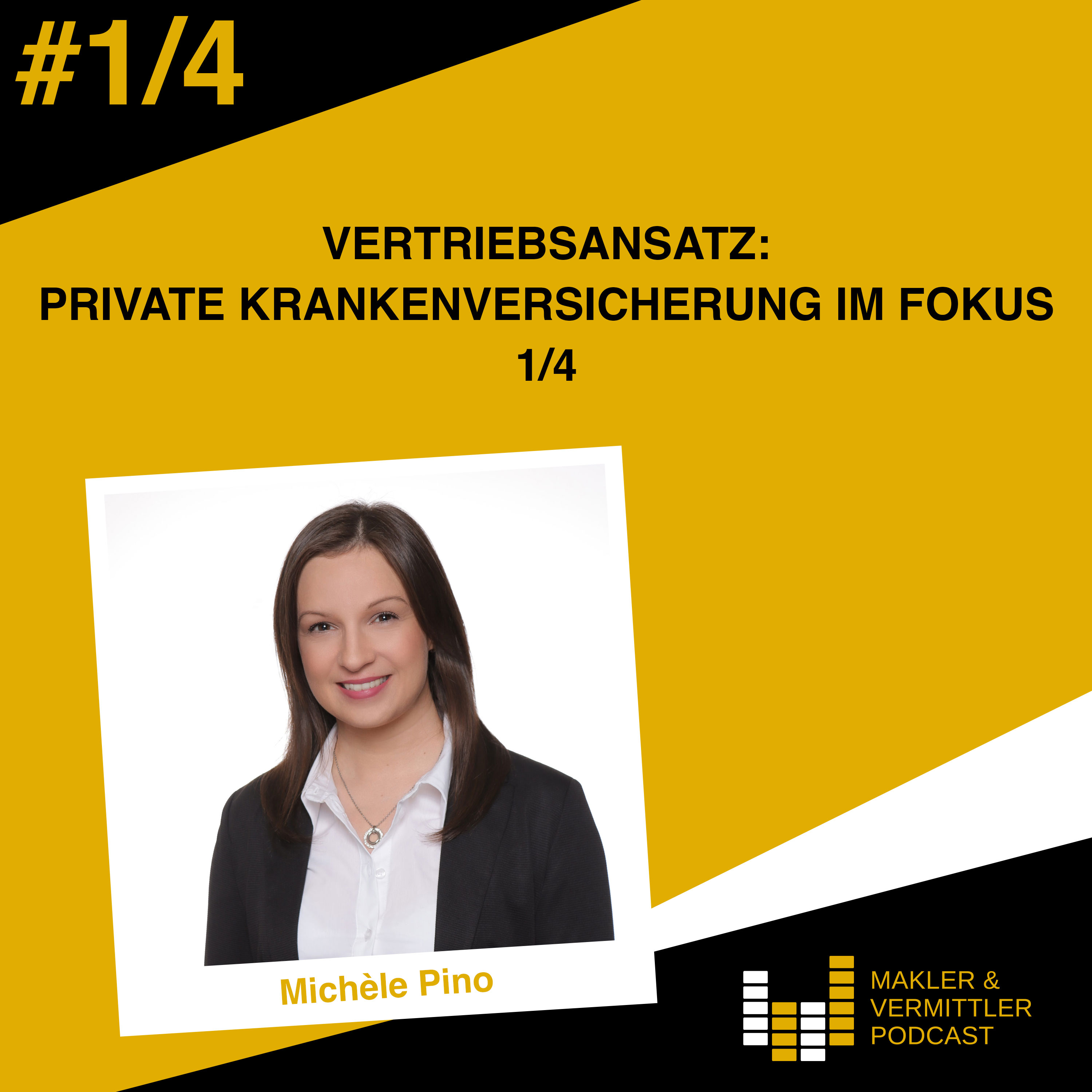 Vertriebsansatz: Private Krankenversicherung im Fokus 1/4
