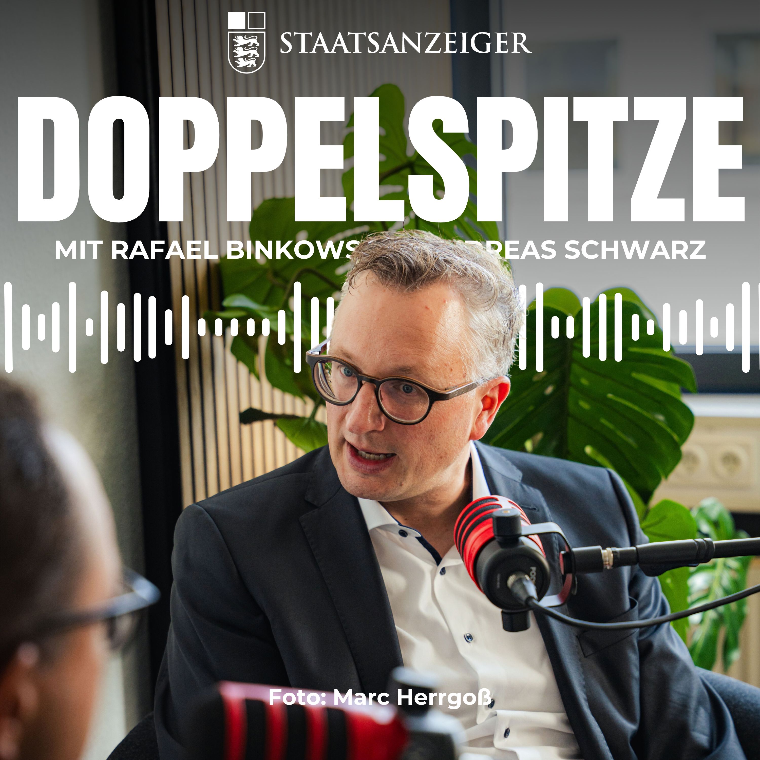 Mit dem Rennrad durch die Landespolitik: Grünen Fraktionschef Andreas Schwarz über Bürokratie, Industrie und Koalition episode artwork