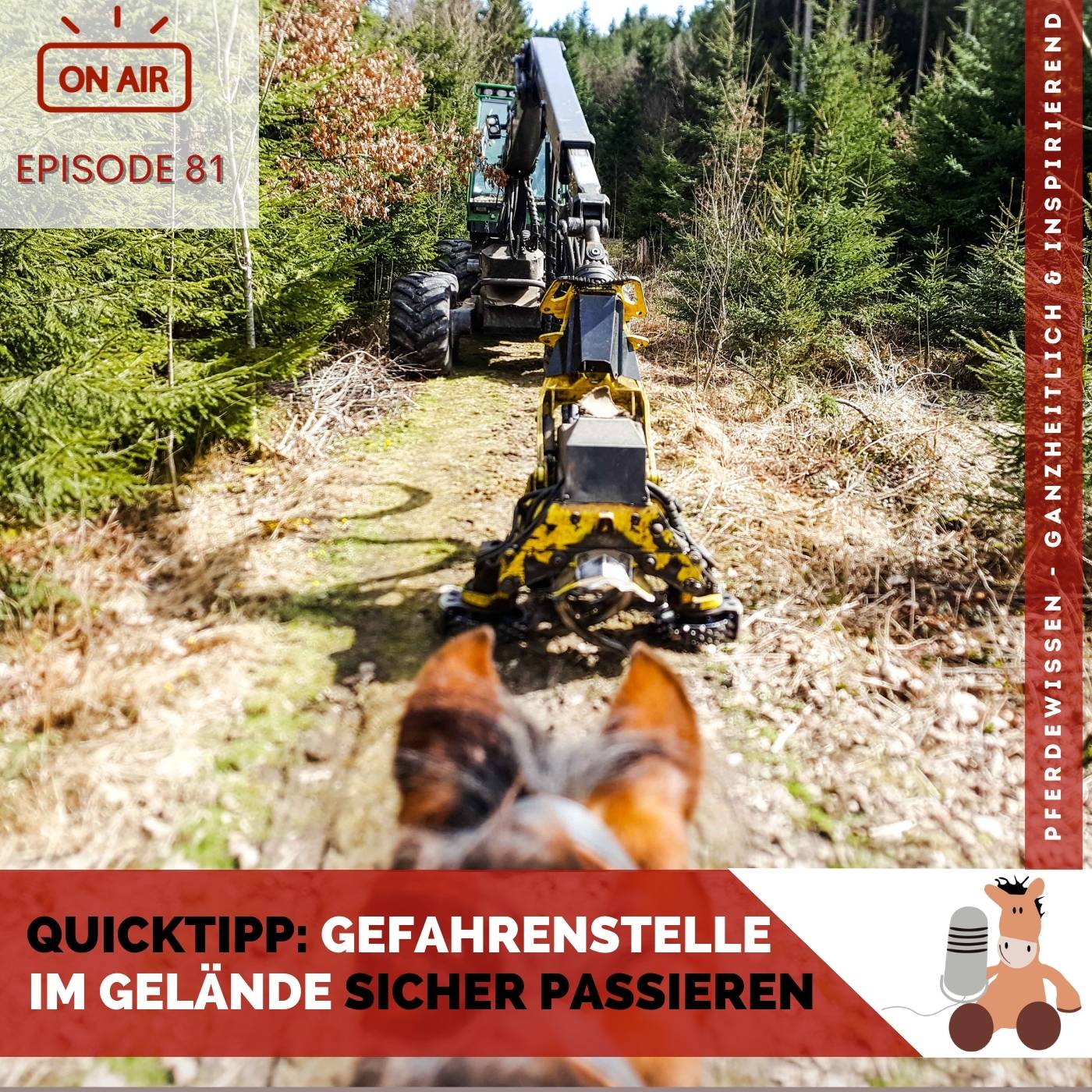 Pferdewissen - ganzheitlich & inspirierend mit Sandra Fencl