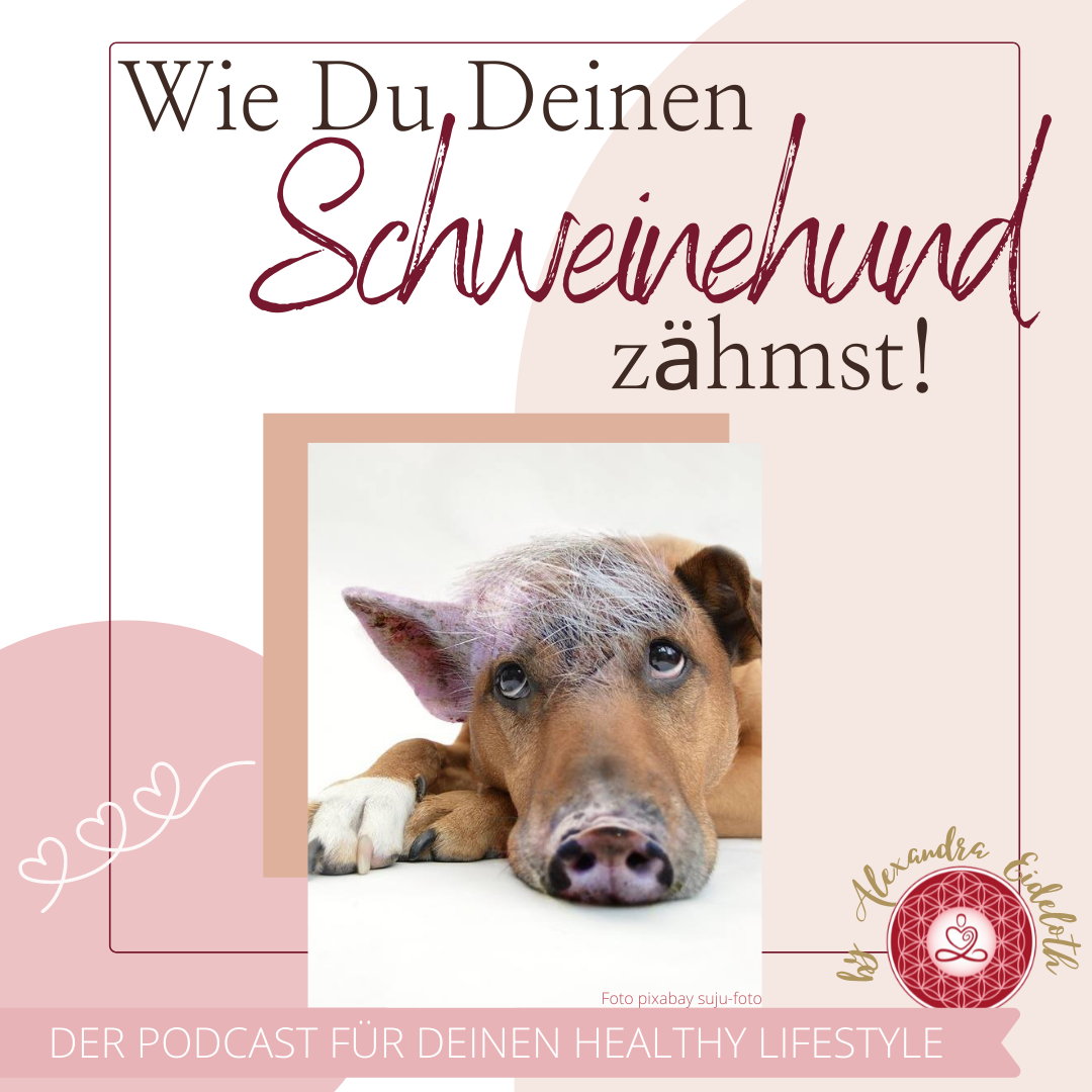 Deine Gesundheit ist Deine Entscheidung - Dein Podcast für Deinen Healthy Lifestyle!