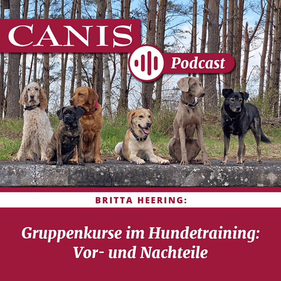 Der CANIS-Podcast – Hundeexpert:innen ausgefragt