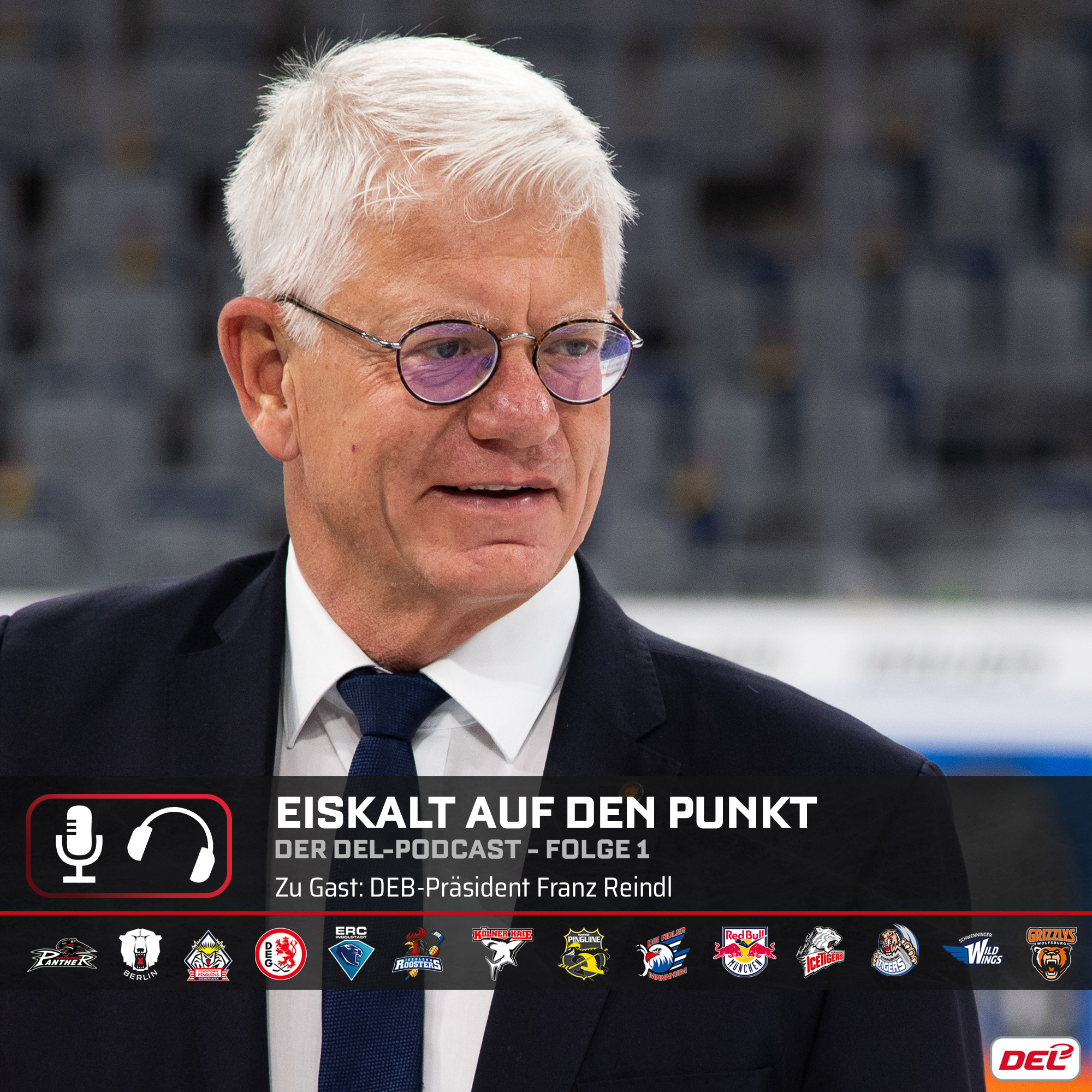 Eiskalt auf den Punkt - der offizielle DEL-Podcast