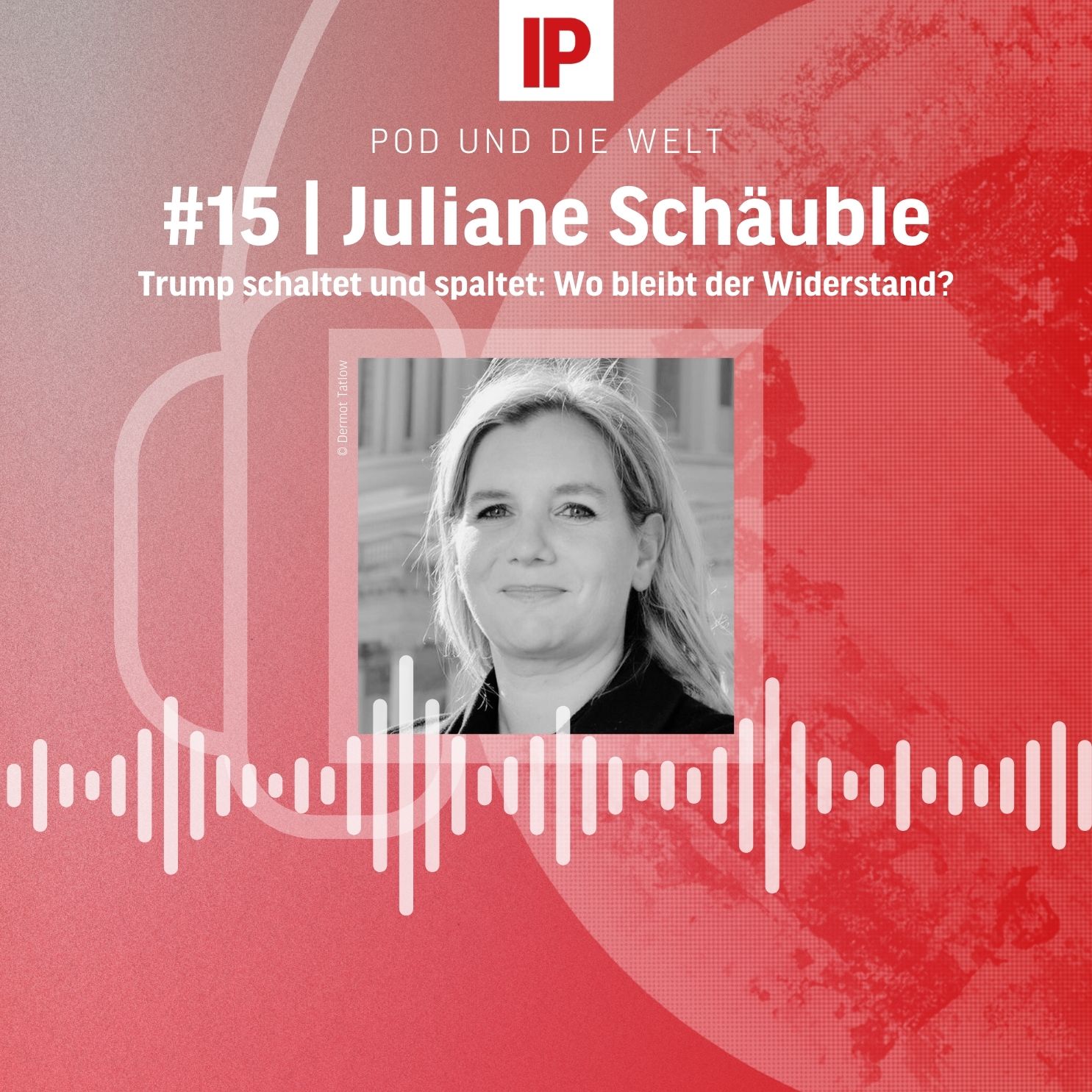 Pod und die Welt – Das außenpolitische Update