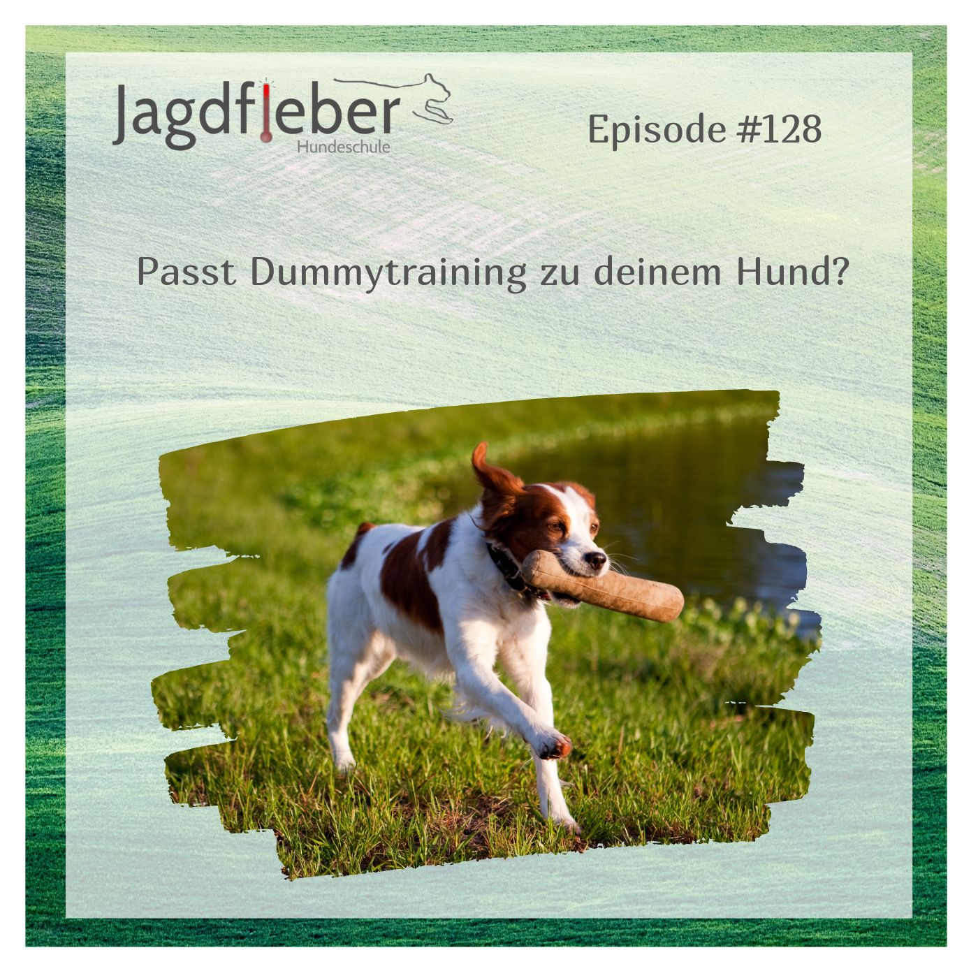 Dummy & Co