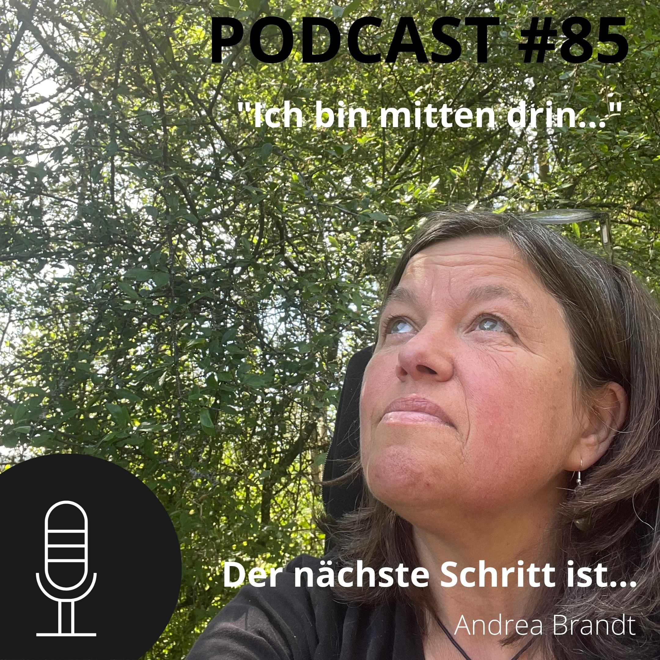 Andrea Brandt - Der nächste Schritt ist... das WAGNIS ABENTEUER LEBEN