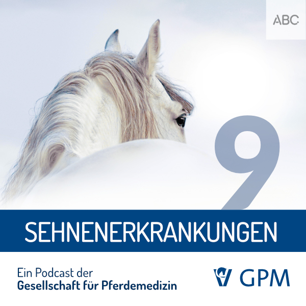 Pferdemedizin heute