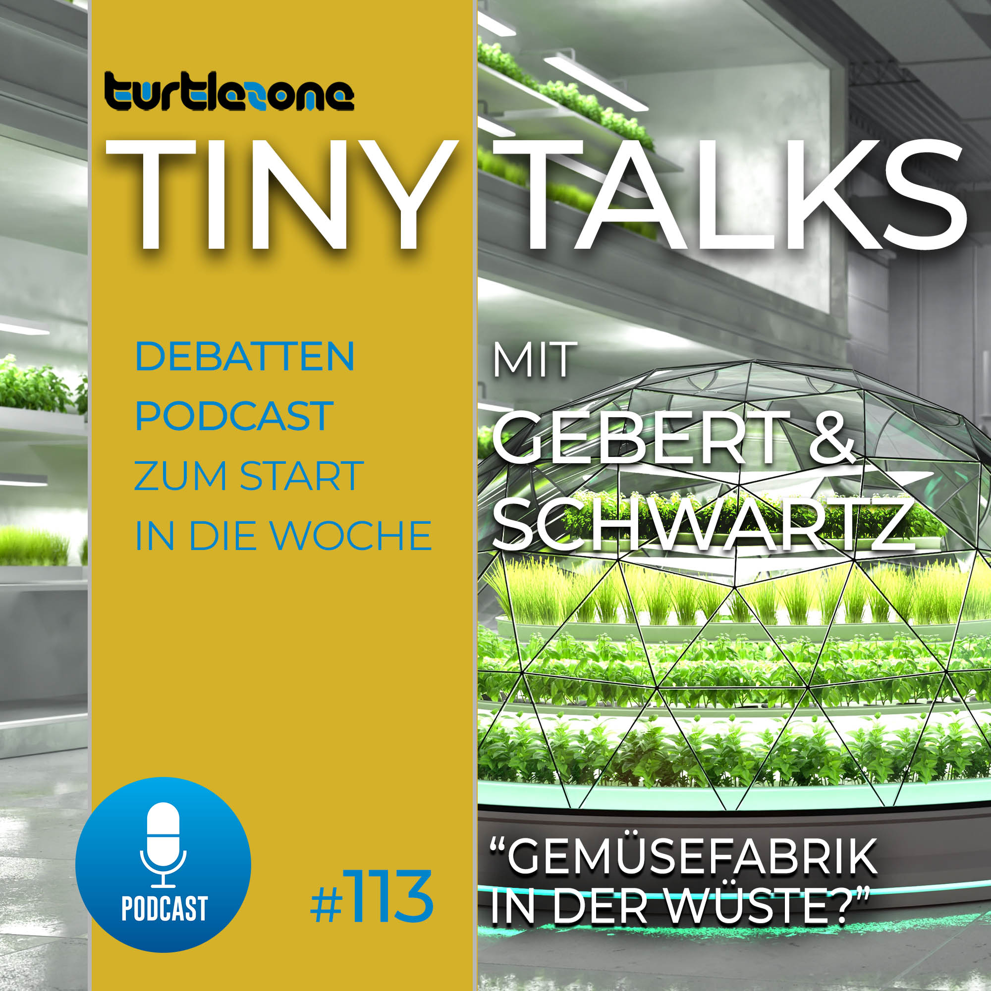 Turtlezone Tiny Talks - Der Debatten-Podcast mit Gebert und Schwartz