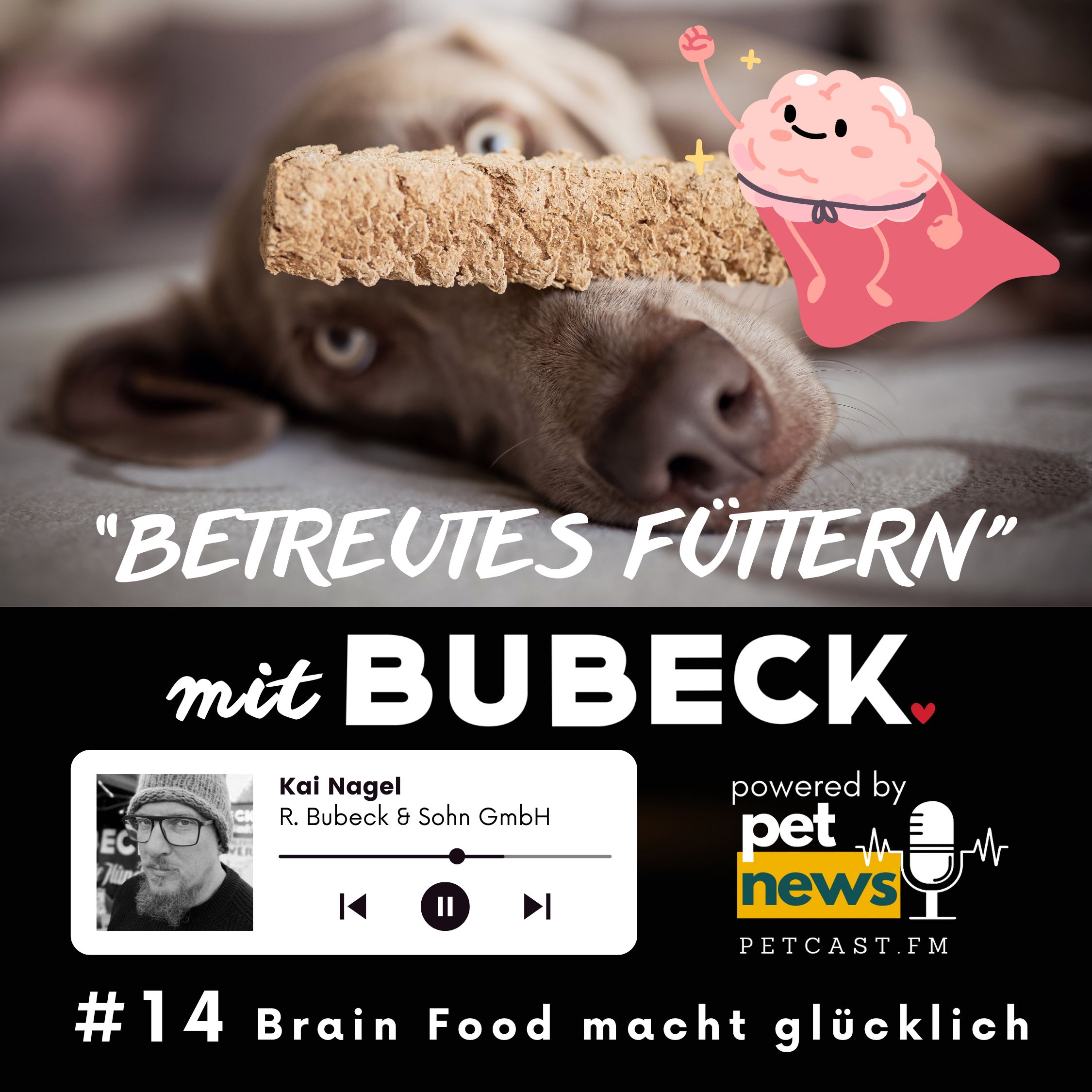 Betreutes Füttern mit Bubeck - Die älteste Hundefuttermanufaktur von 1893
