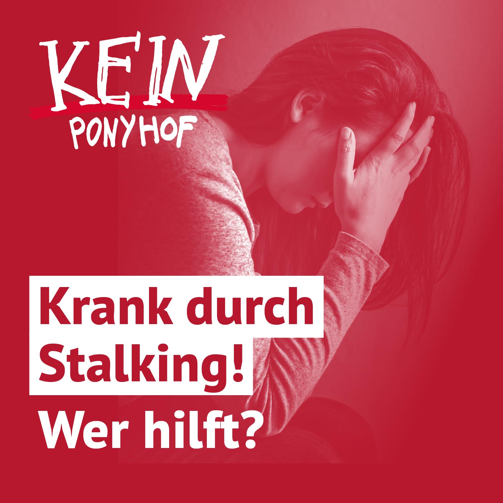 Kein Ponyhof - Aus dem Alltag einer Sozialberatung