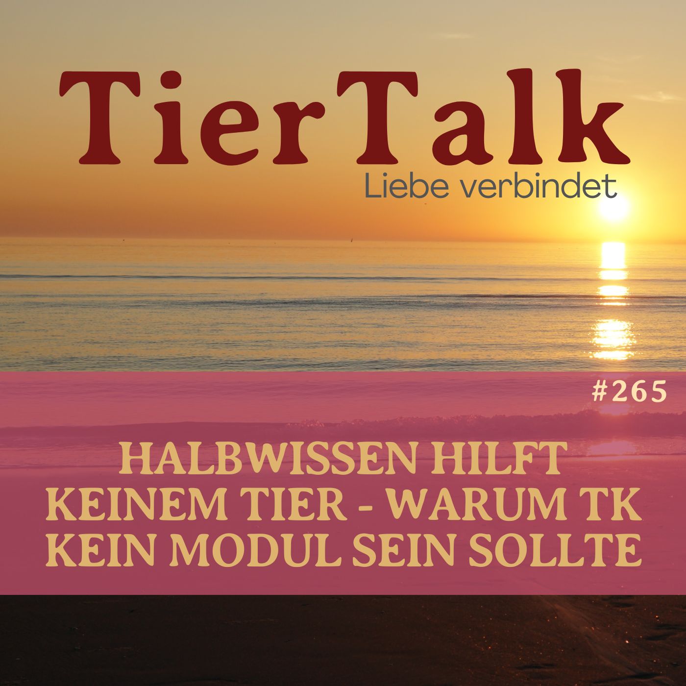 265. Warum Halbwissen dein Vertrauen zerstört