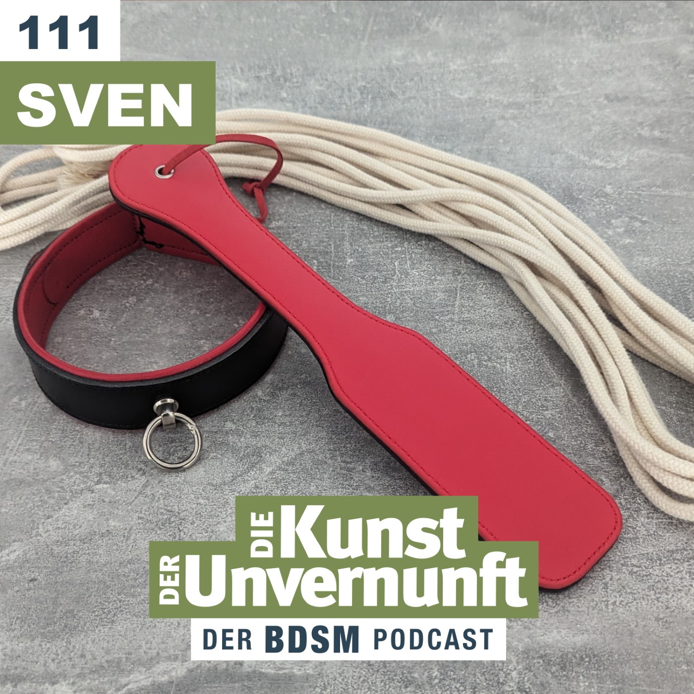 BDSM - Die Kunst der Unvernunft