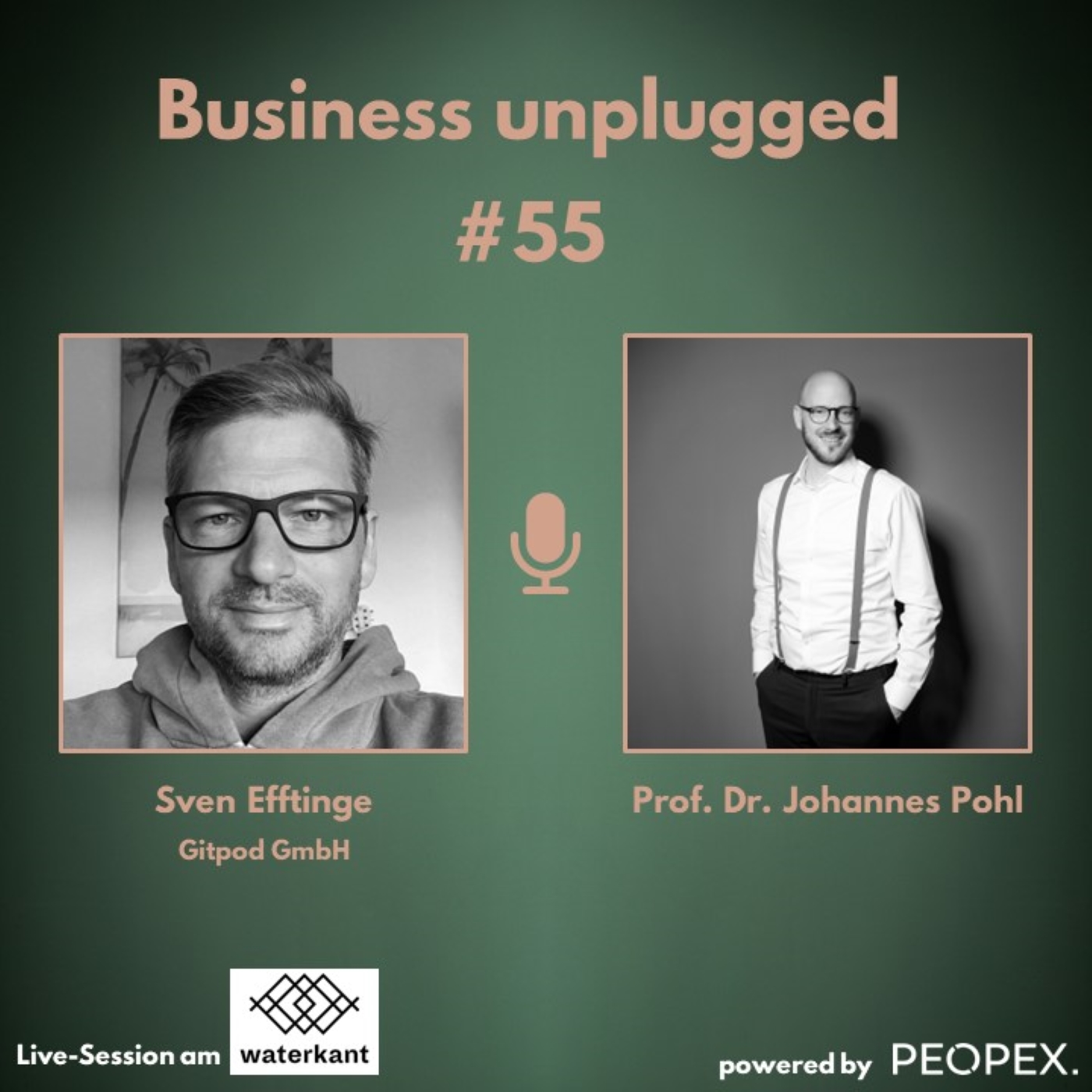 Business unplugged - Menschen, Unternehmen und Aspekte der Digitalisierung