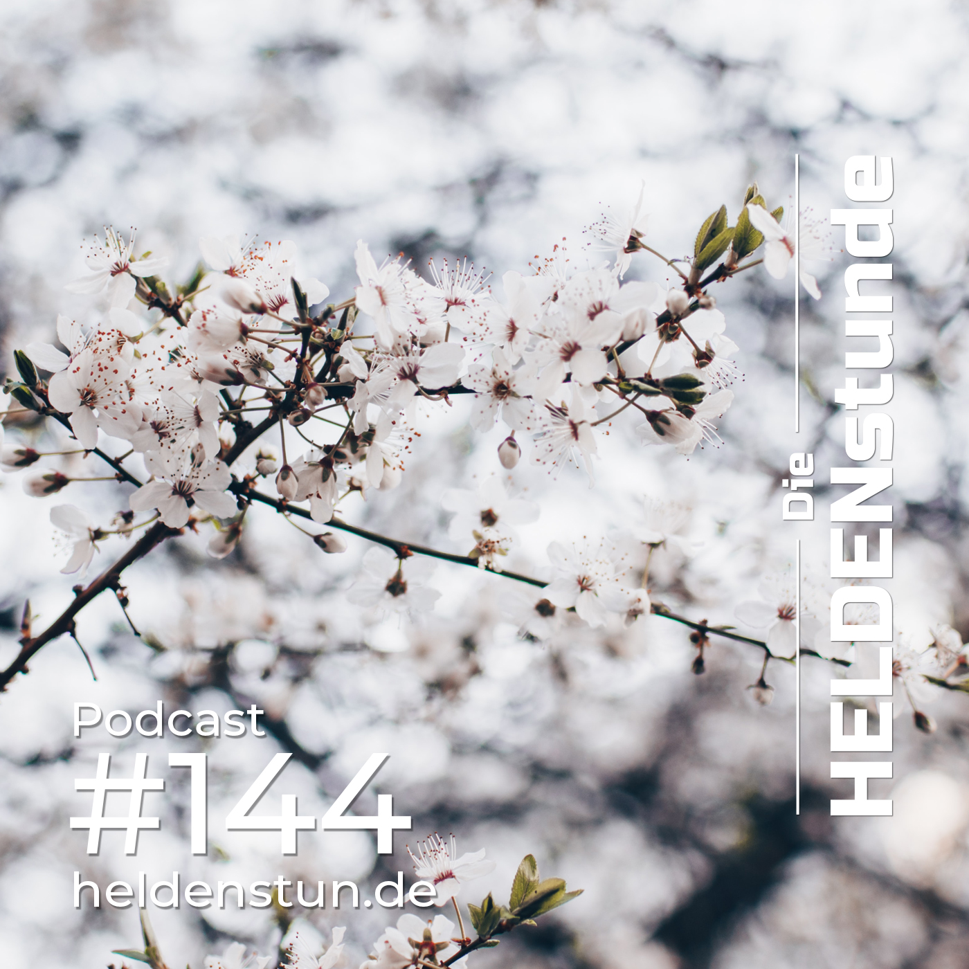 HELDENstunde. Für ein gesundes und bewusstes Leben.