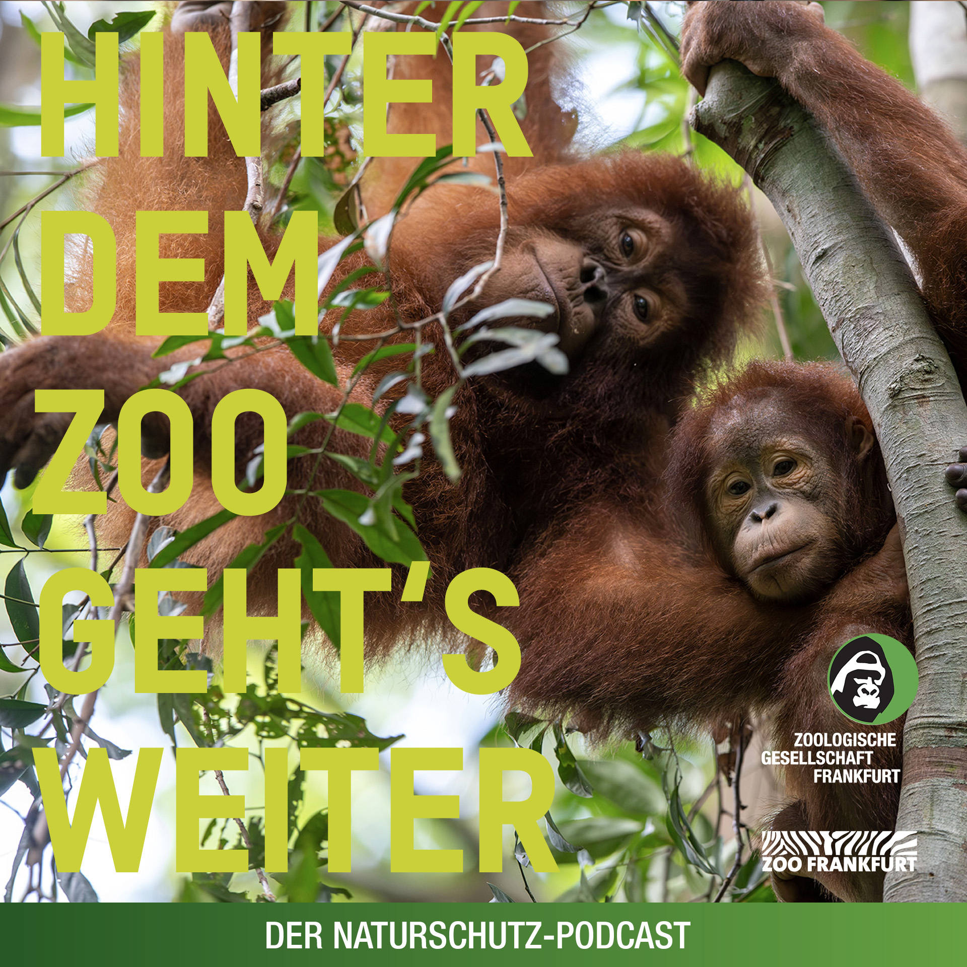 Hinter dem Zoo geht\'s weiter - Der Naturschutzpodcast aus Frankfurt