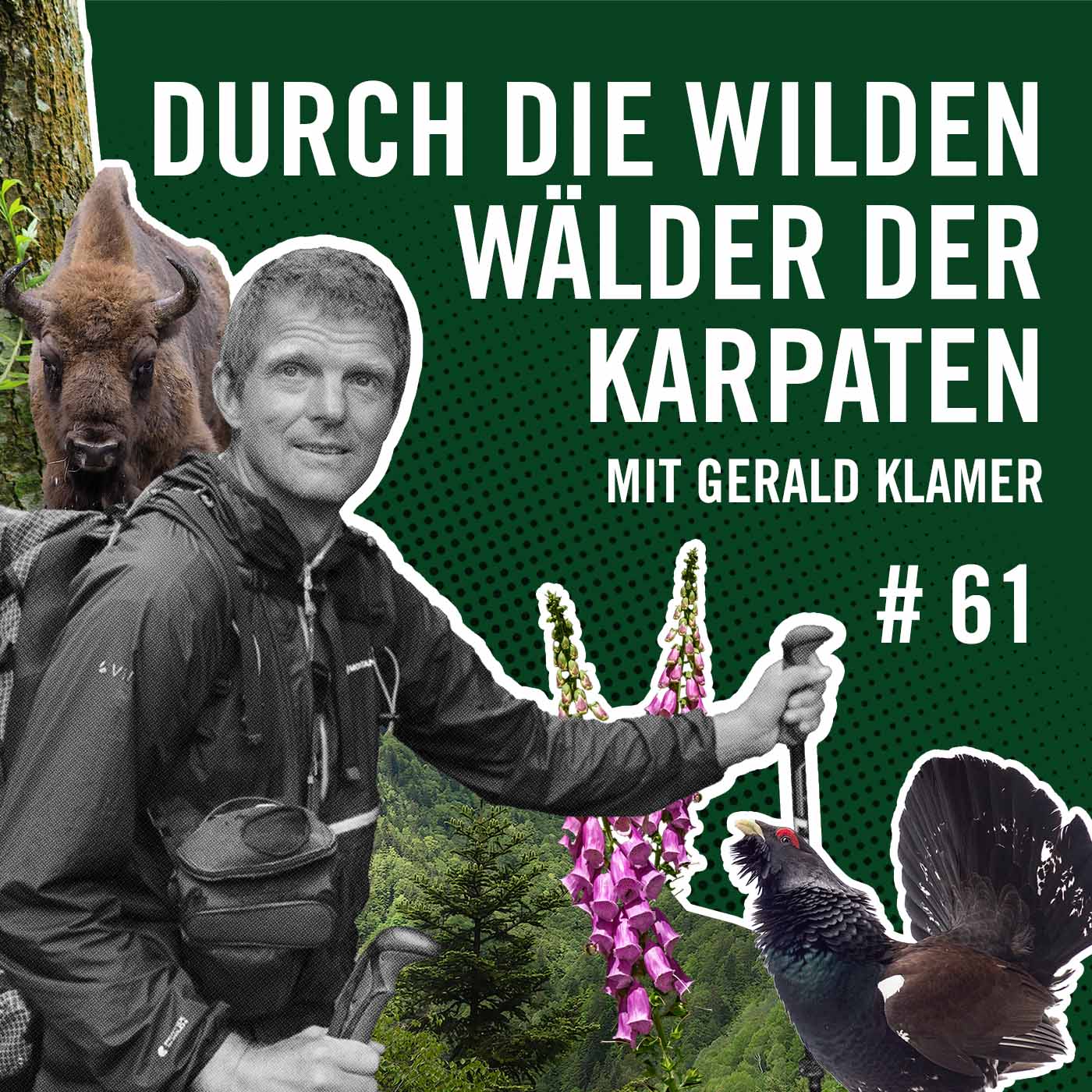 Durch die wilden Wälder der Karpaten mit Gerald Klamer #61