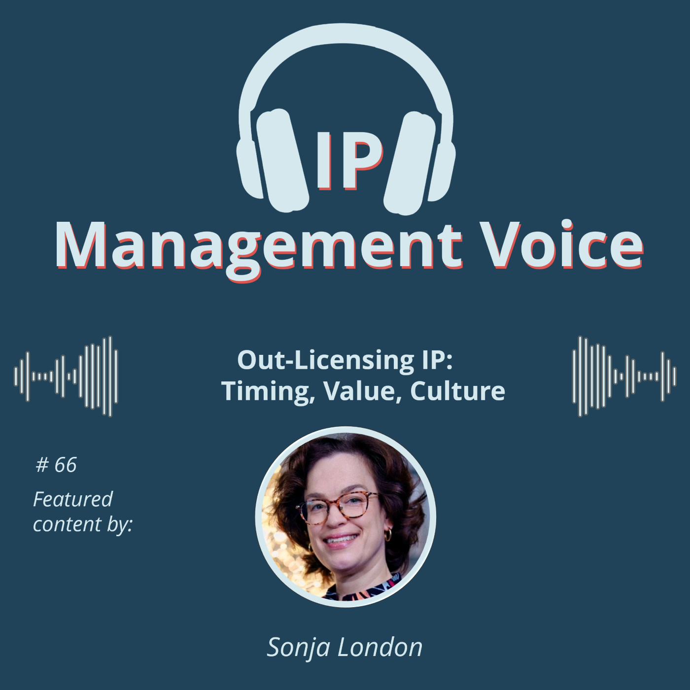 🎧  IP Management Voice - Your Podcast on the World of IP and IP Management