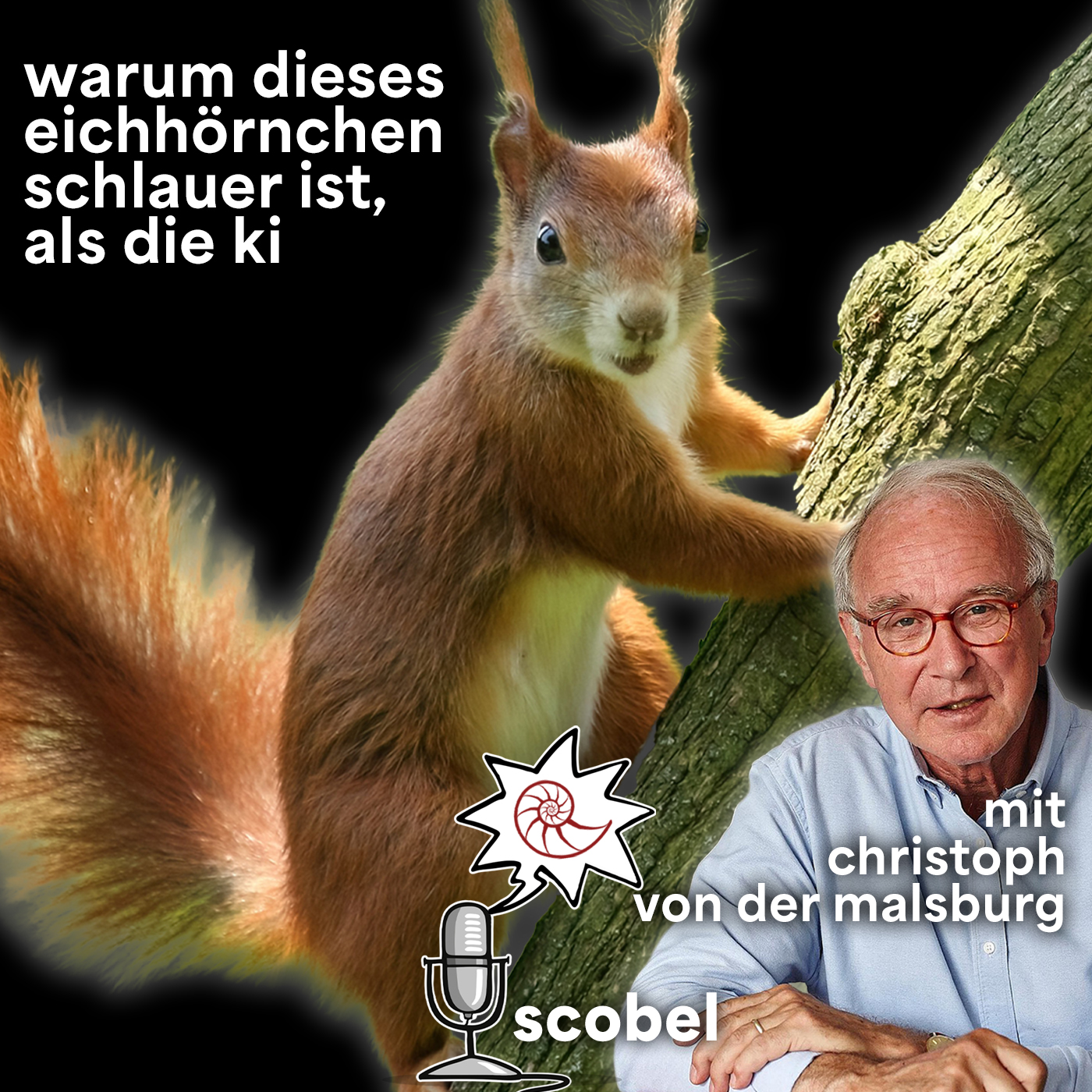Das fundamentale Dilemma des Deep Learning  – scobel im Gespräch: Mit Christoph von der Malsburg episode artwork