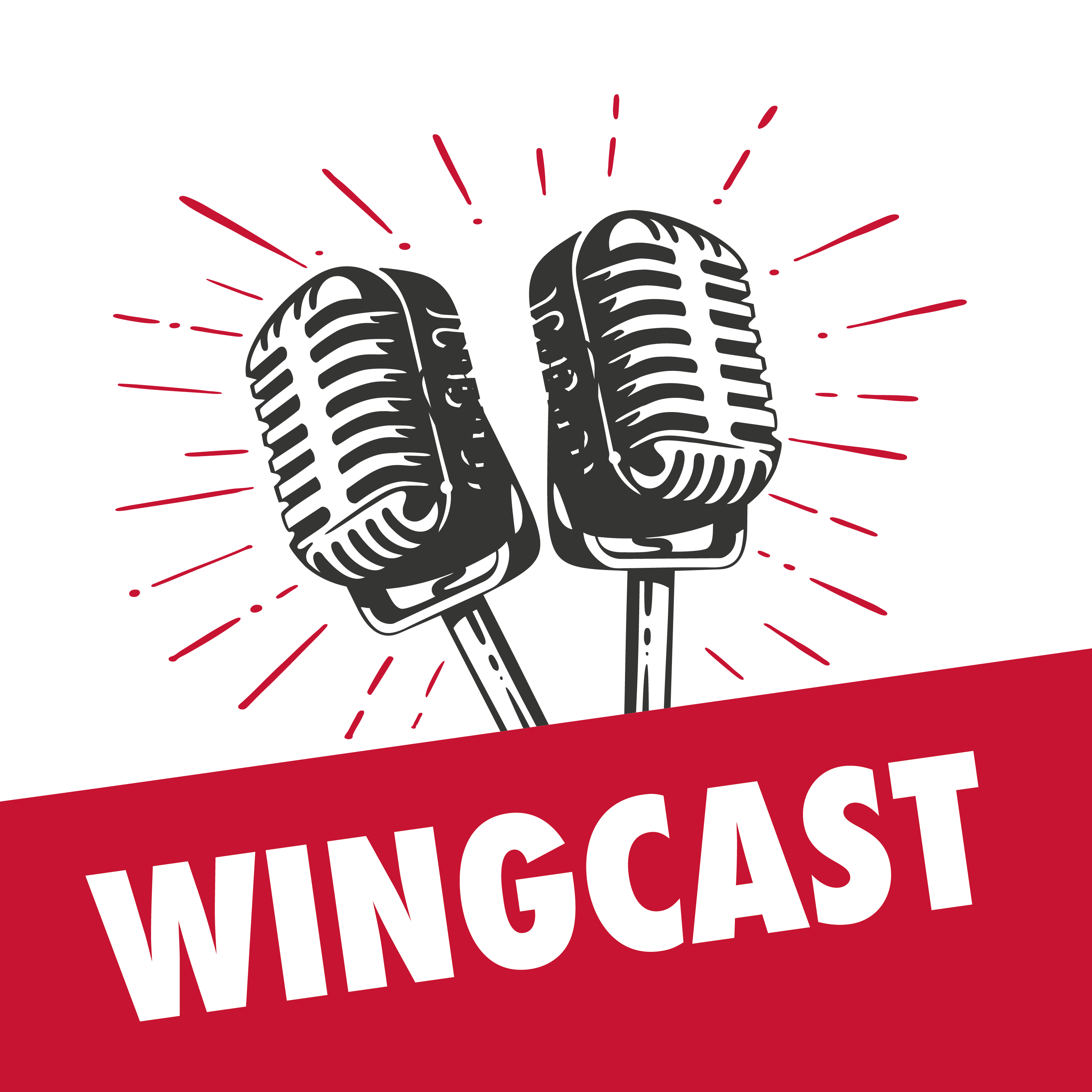 Wingcast | Der SEO Podcast von Wingmen cover art