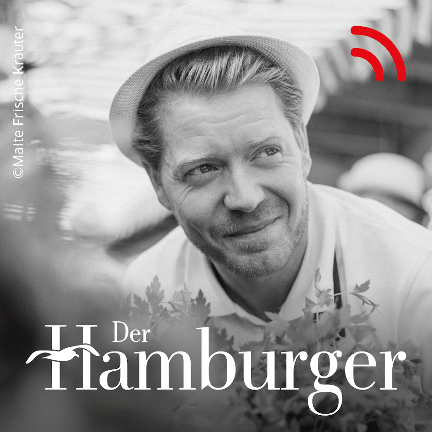 DER HAMBURGER Inside. Stimmen dieser Stadt