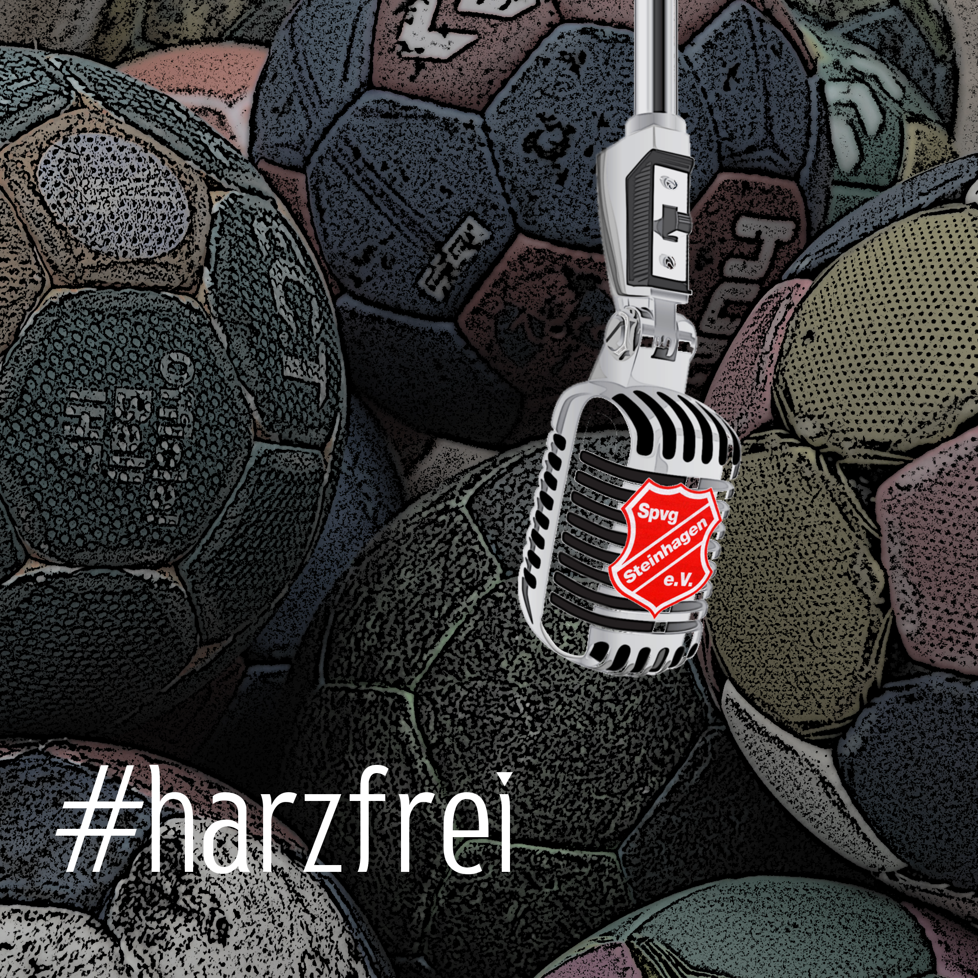 harzfrei - Folge 1 episode artwork