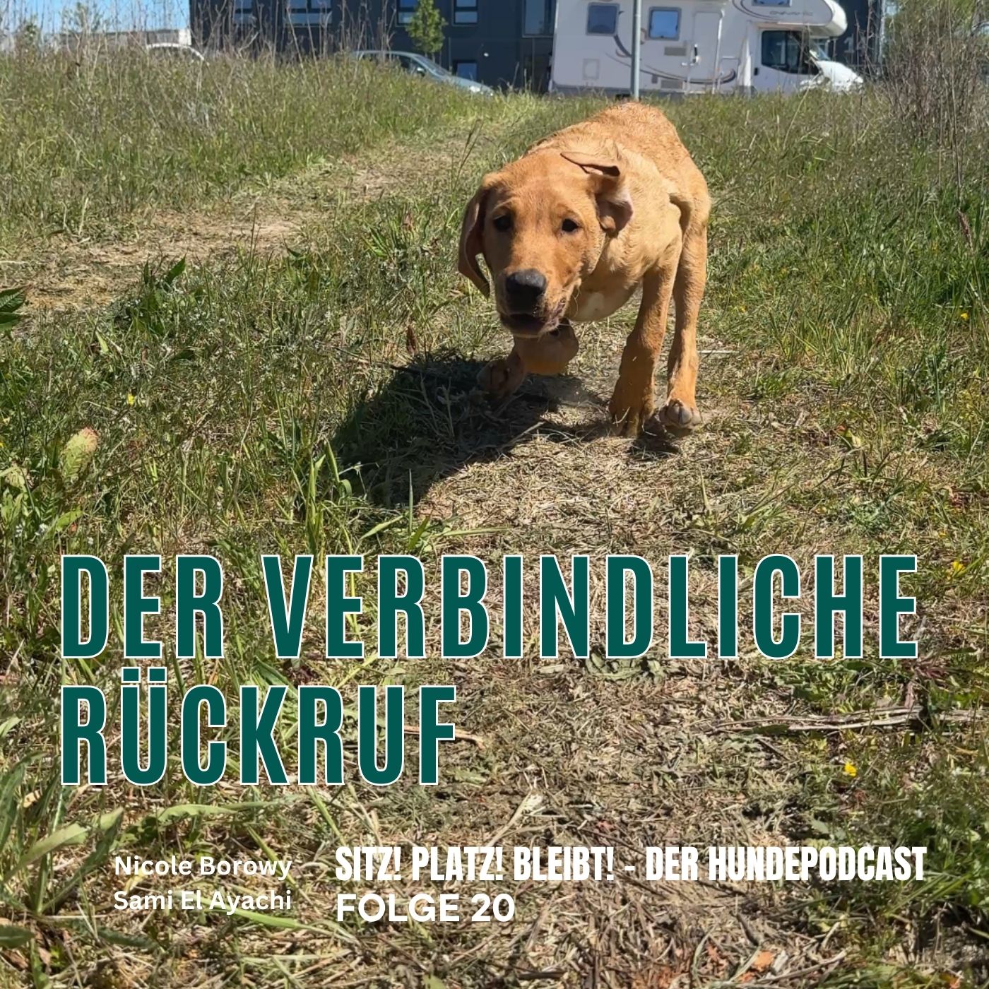 #20 Vom Wohnzimmer ins echte Leben: Der Blick auf den Rückruf