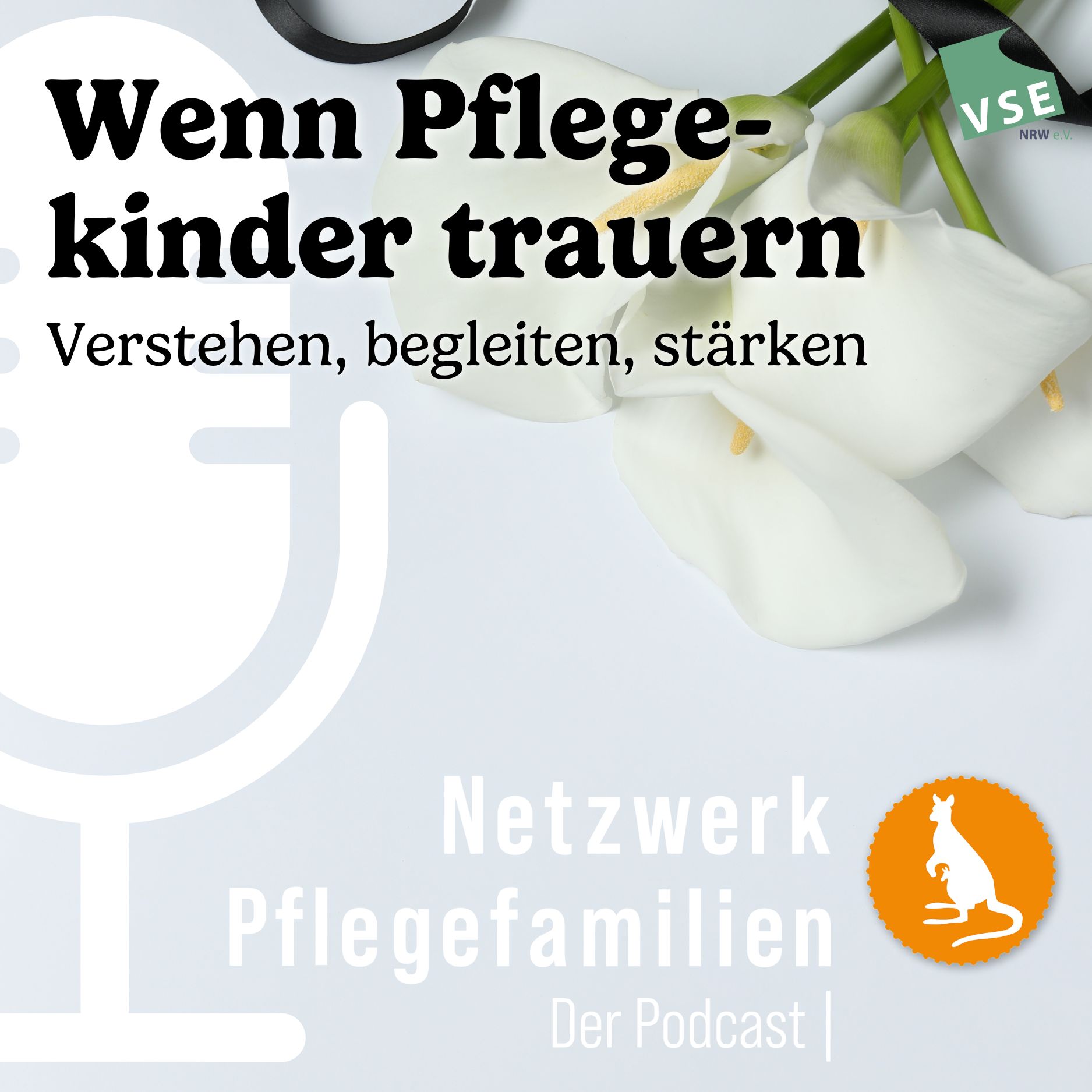 Netzwerk Pflegefamilien - Der Podcast