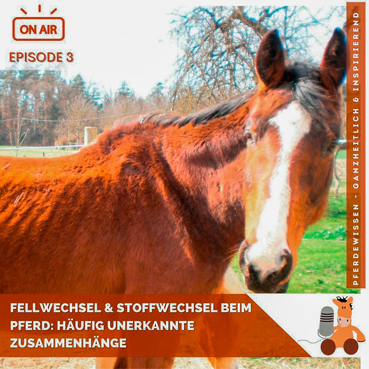 Fellwechsel und Stoffwechsel beim Pferd: Häufig unerkannte Zusammenhänge