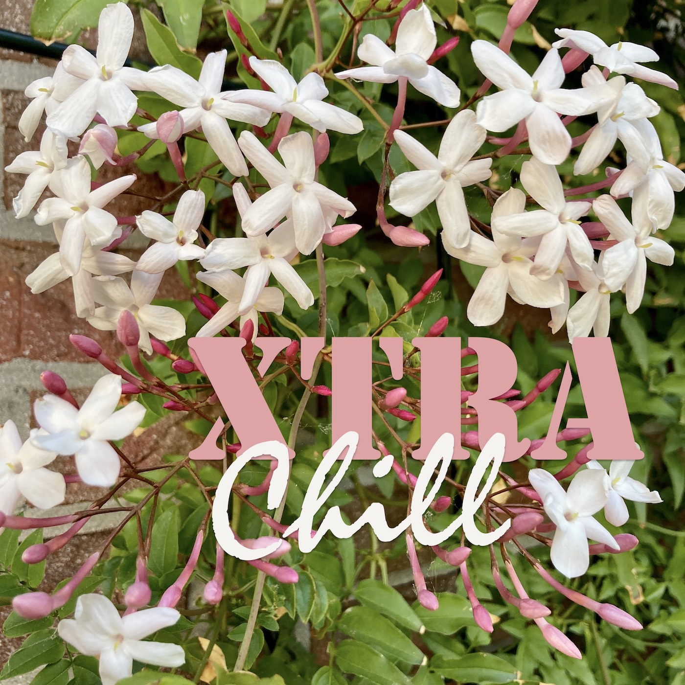 XtraChill