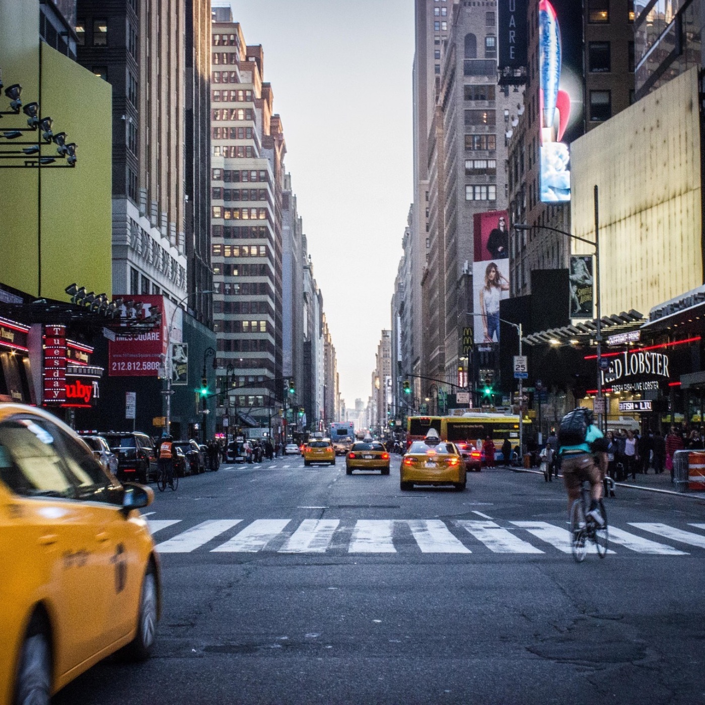 Weniger Kriminalität in New York | Botswana legalisiert Homosexualität | Forschung in Bars | Linie 0 | Tag der Otter episode artwork