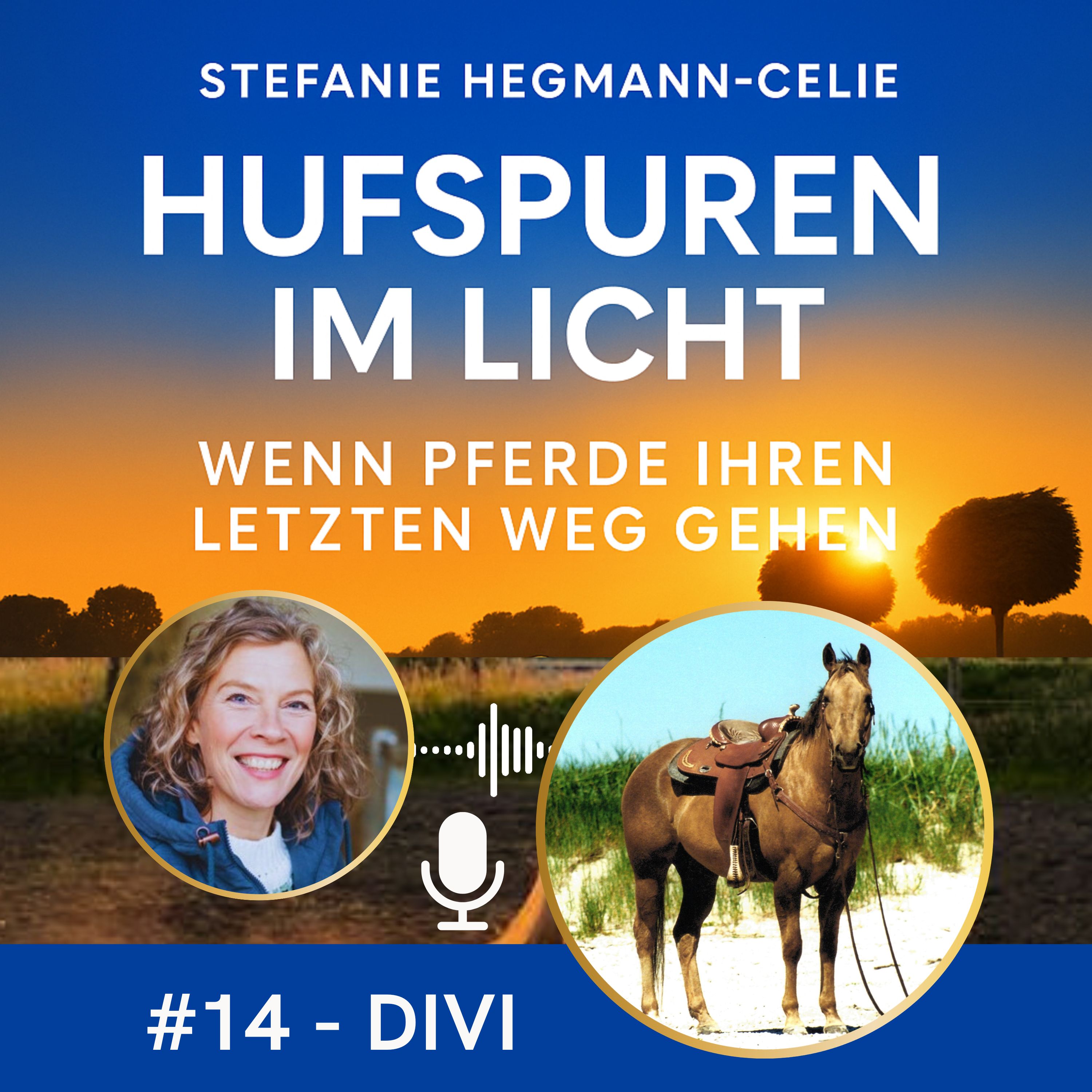 Titel: #14 - Divi: Deutsche Meisterin sowie mehrfache Europameisterin im Westernreiten und Seelenpferd episode artwork