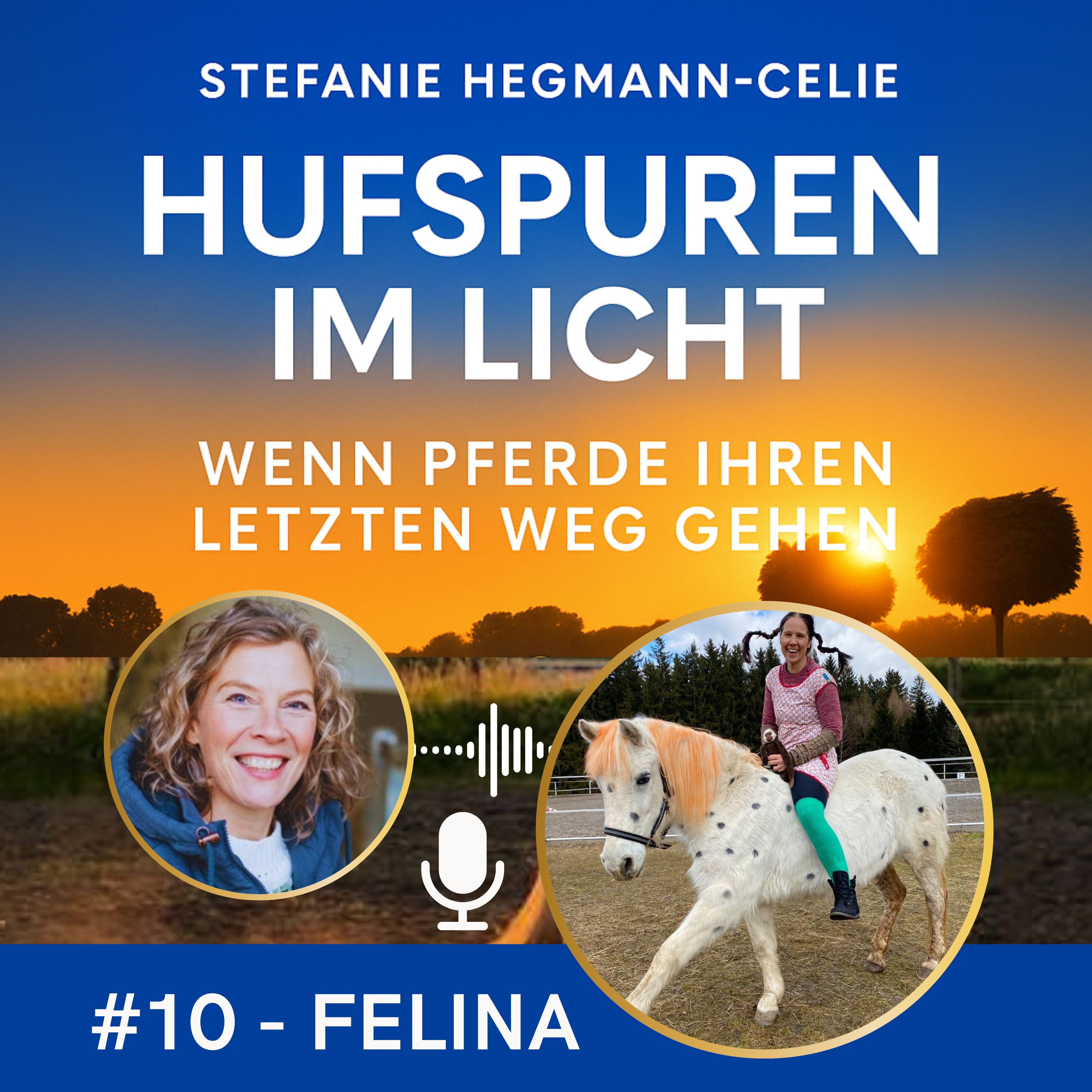 #10 - Felina: Partner in crime episode artwork