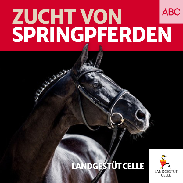Landgestüt Celle - Der Podcast