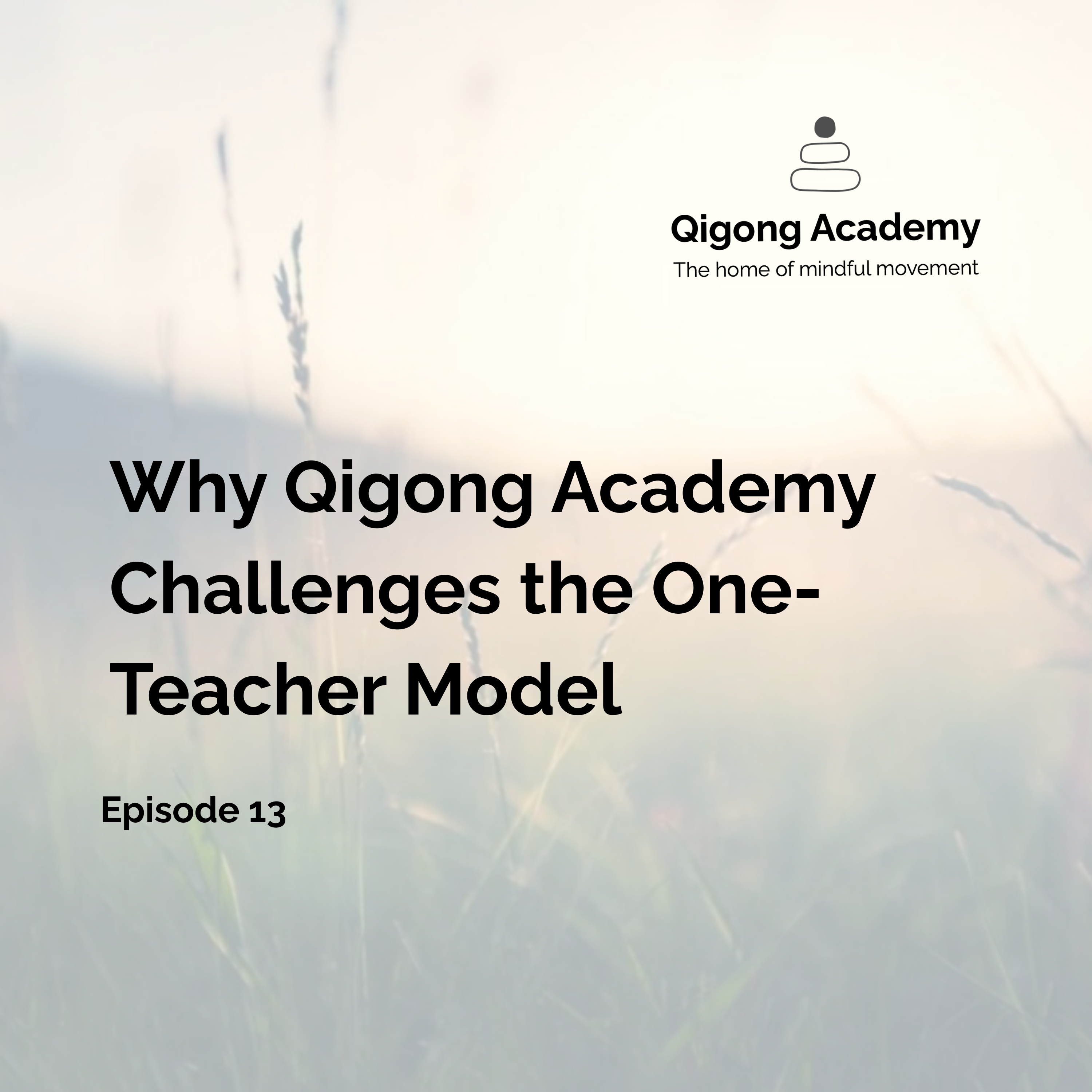 Why Qigong Academy Challenges the One-Teacher Model