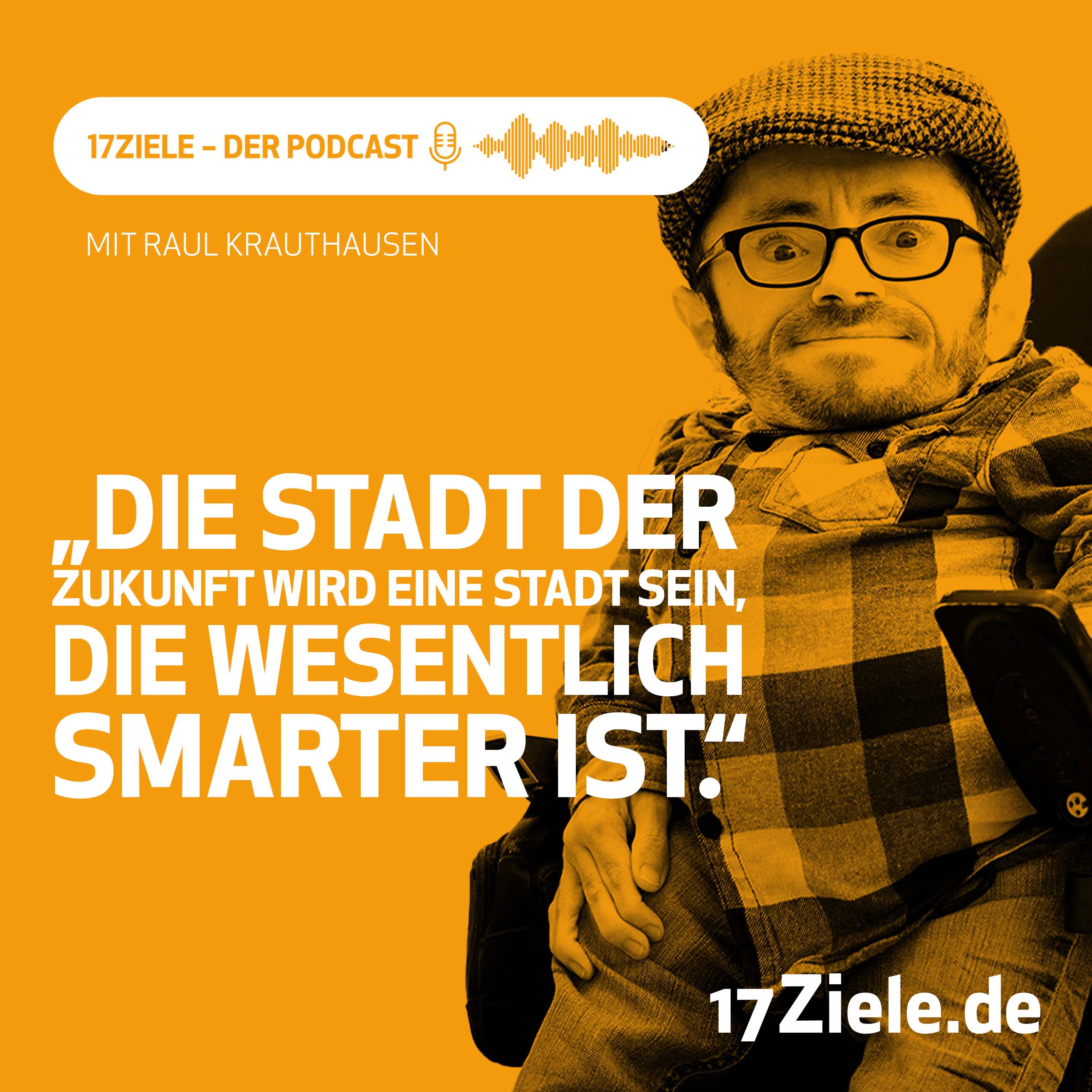 Nachhaltige Städte und Gemeinden mit Raul Krauthausen episode artwork