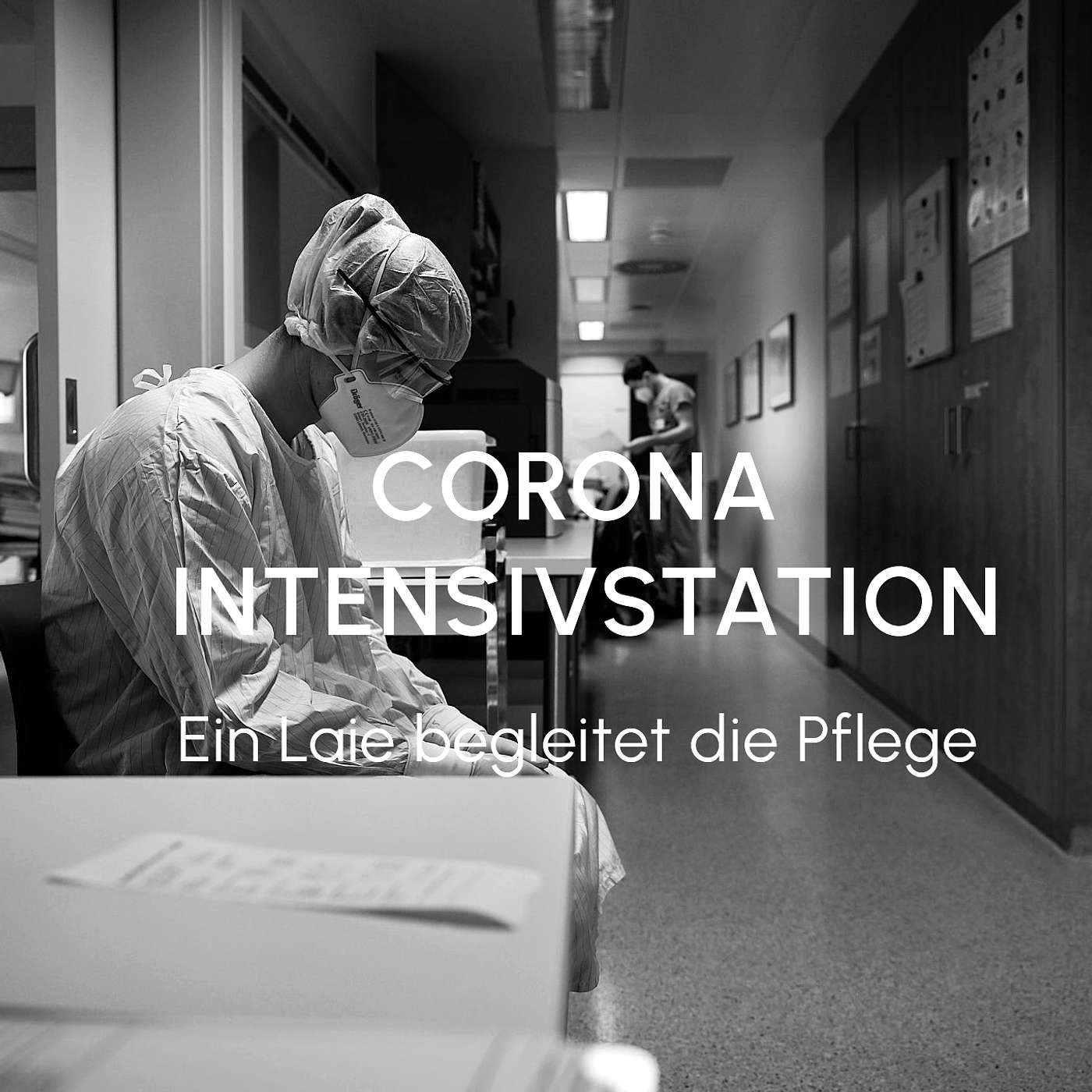SALZ im OHR - Interview Podcast
