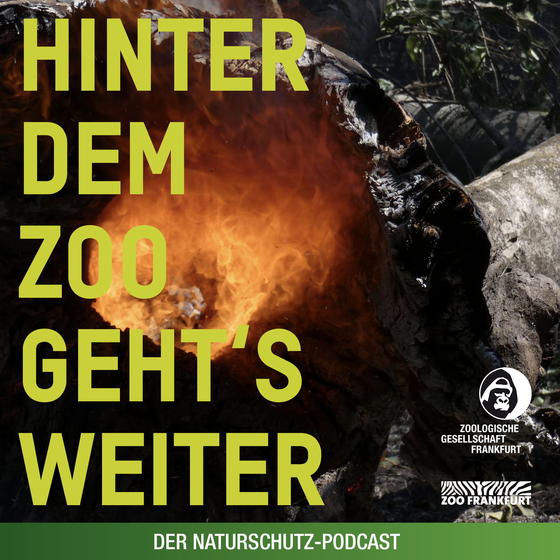 Hinter dem Zoo geht\'s weiter - Der Naturschutzpodcast aus Frankfurt