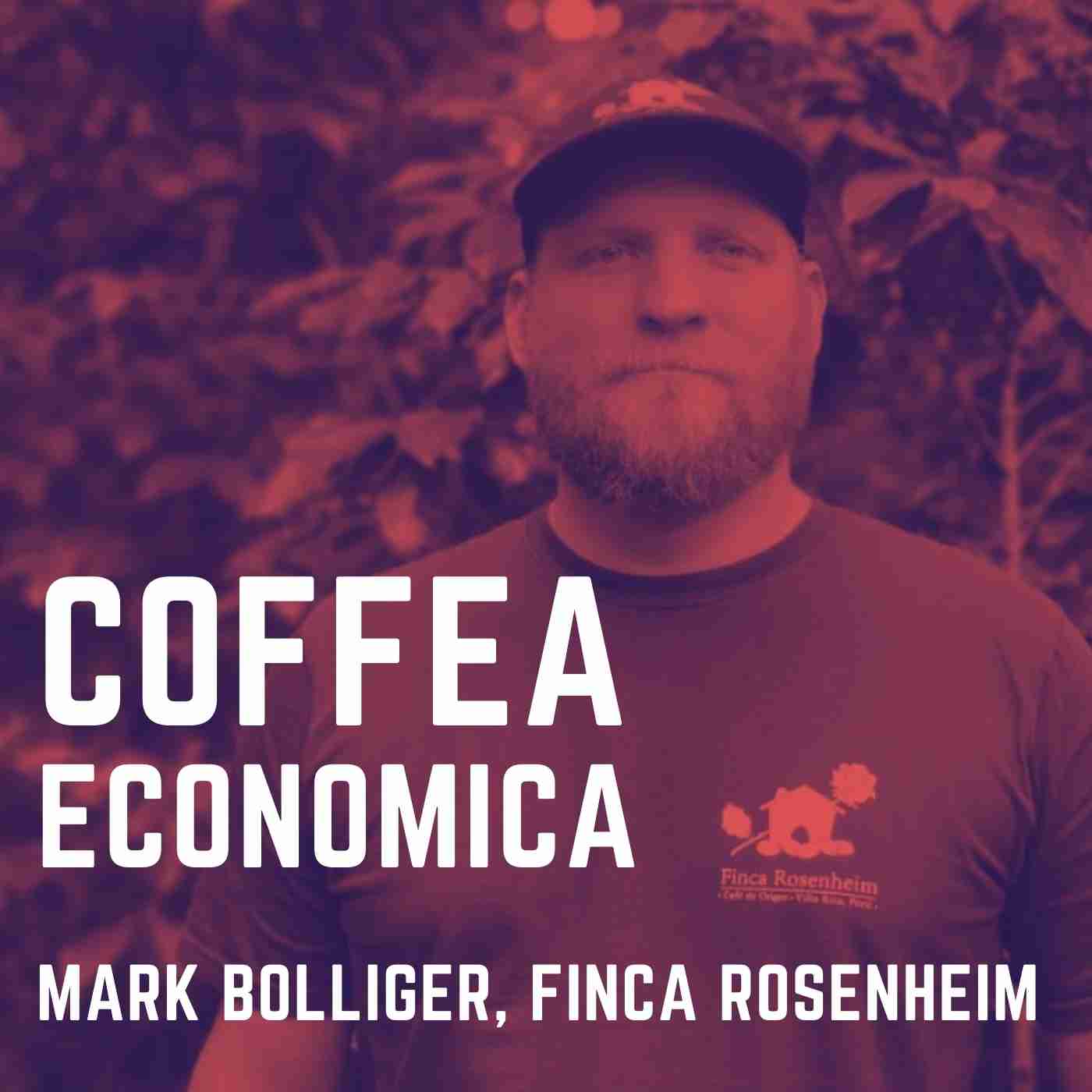 Coffea Economica: Mark Bolliger, Finca Rosenheim, Peru