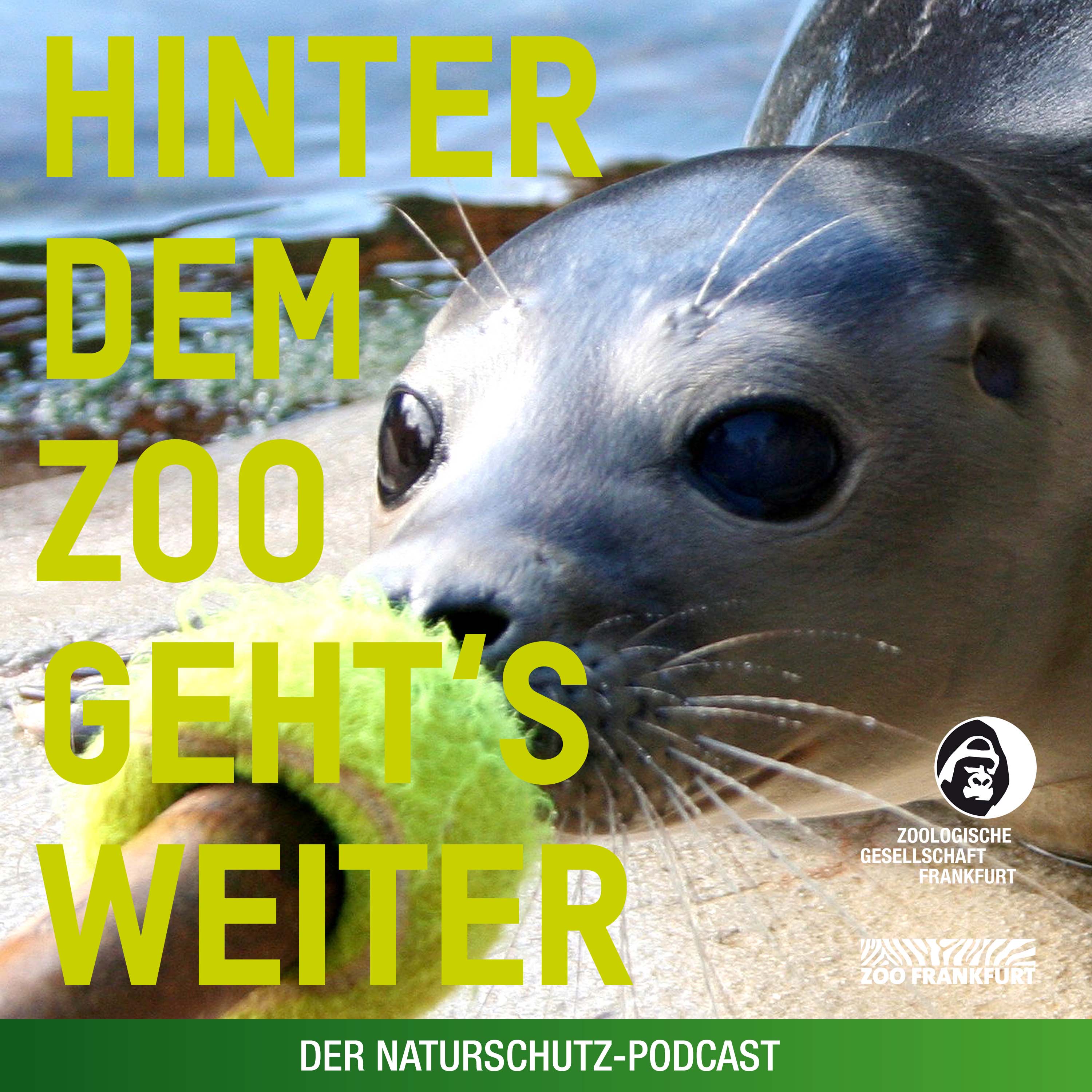 Hinter dem Zoo geht\'s weiter - Der Naturschutzpodcast aus Frankfurt