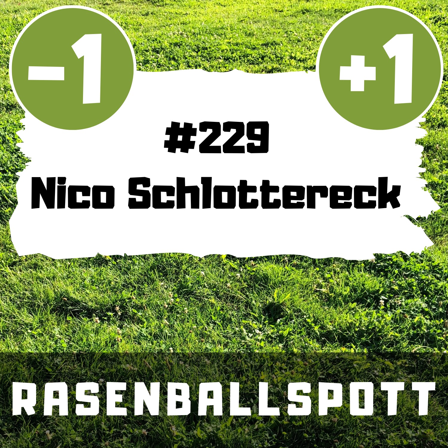 RASENBALLSPOTT