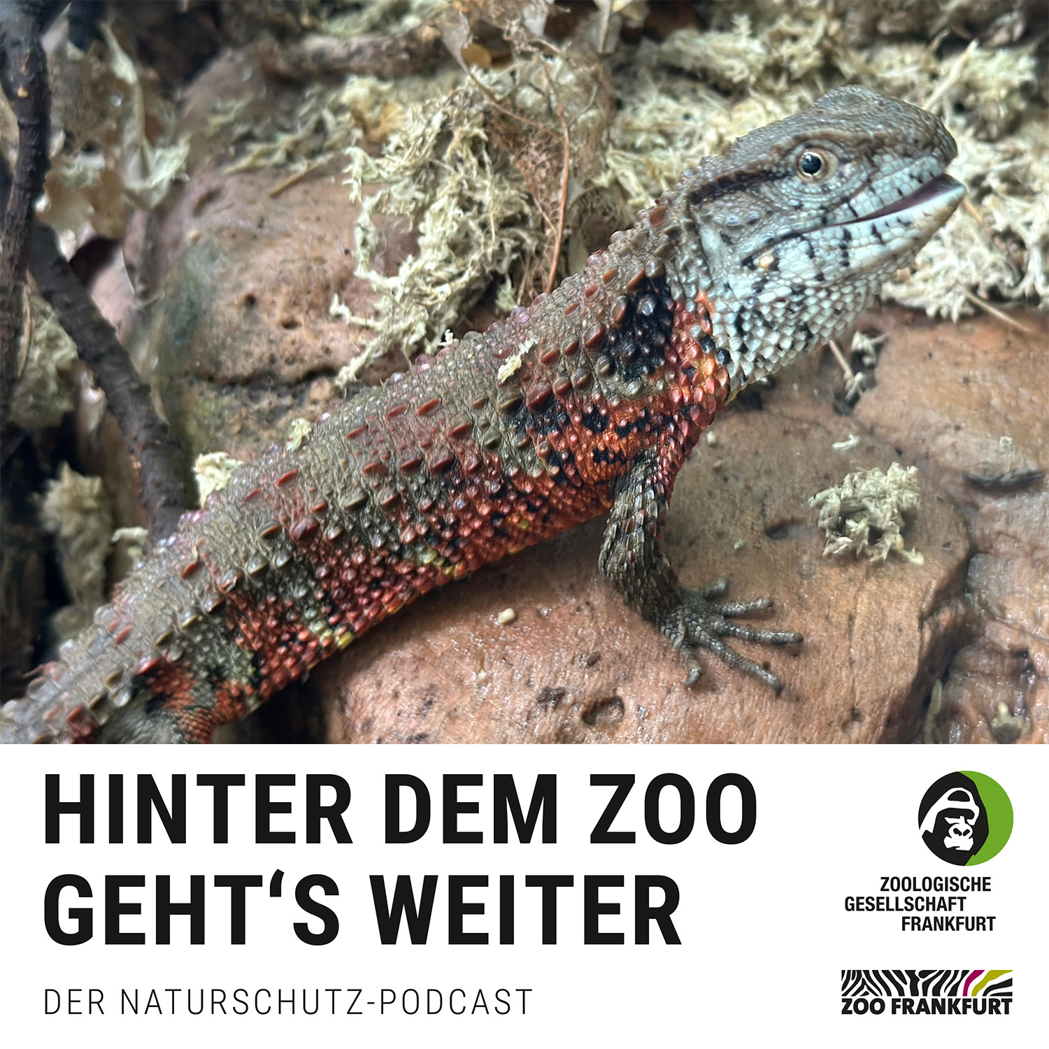 Vietnamazing: Zoos im Einsatz für Vietnams bedrohte Arten 