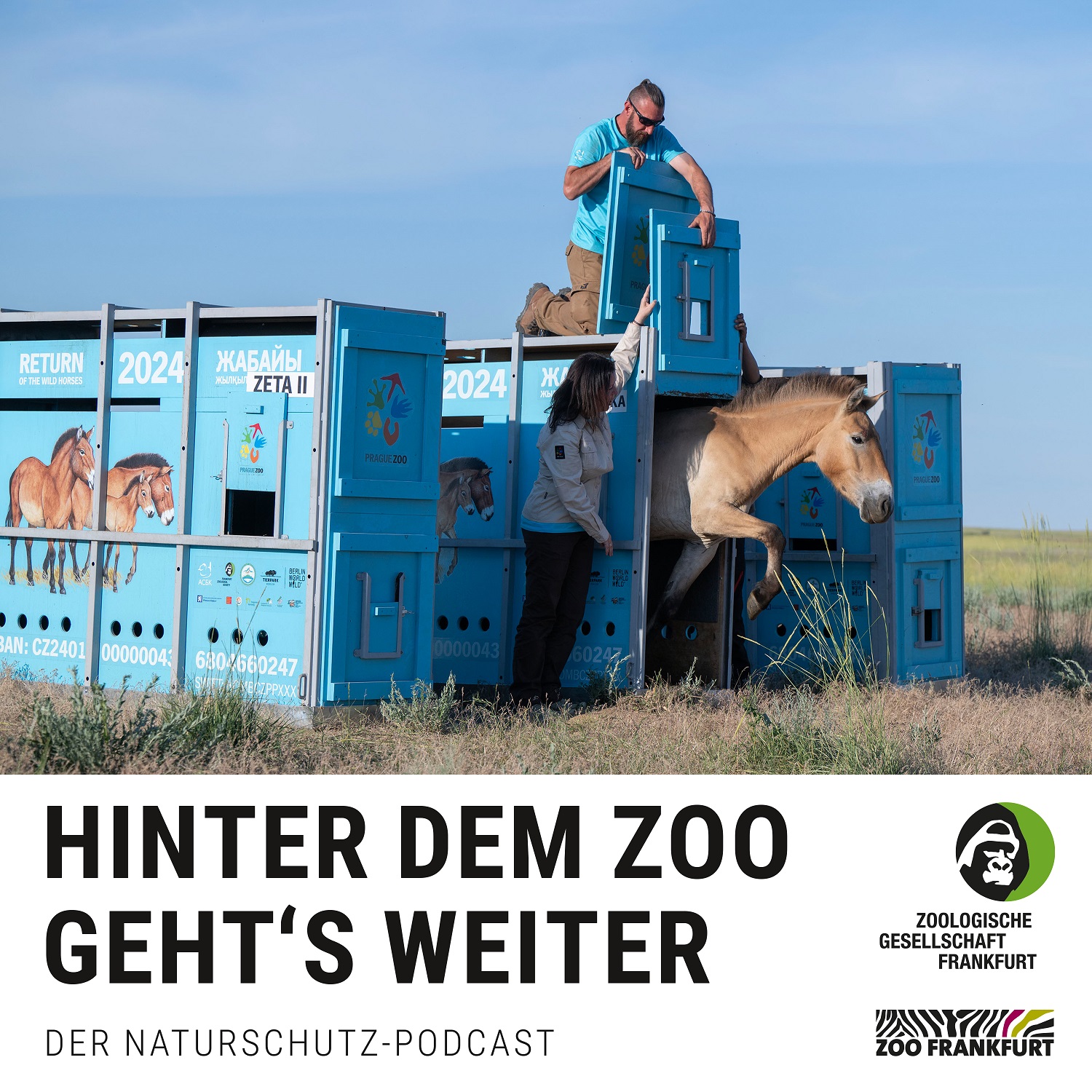 Kasachstan: Die Rückkehr der Wildpferde